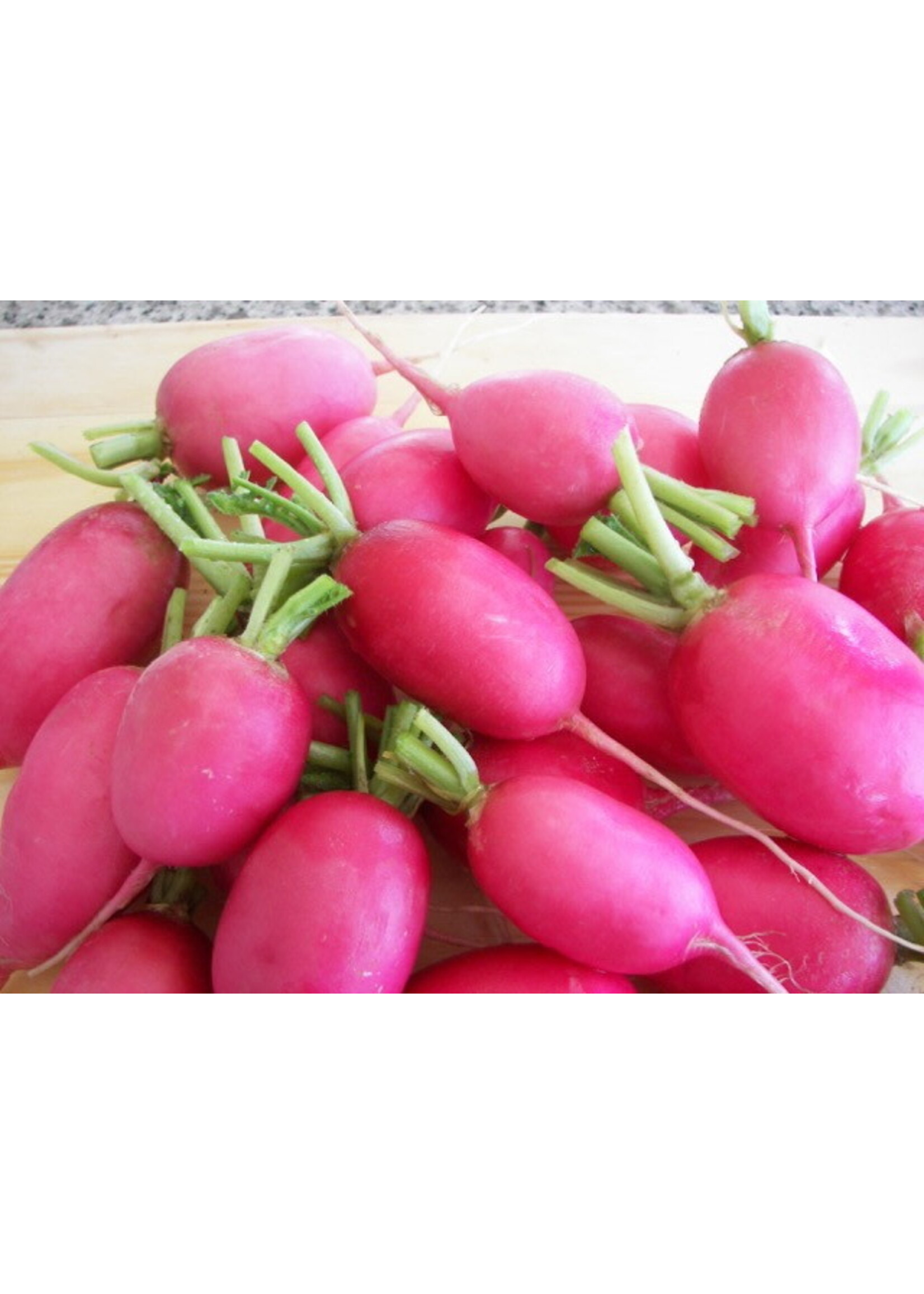 Quail Seeds Radish - Pink Ladyslipper