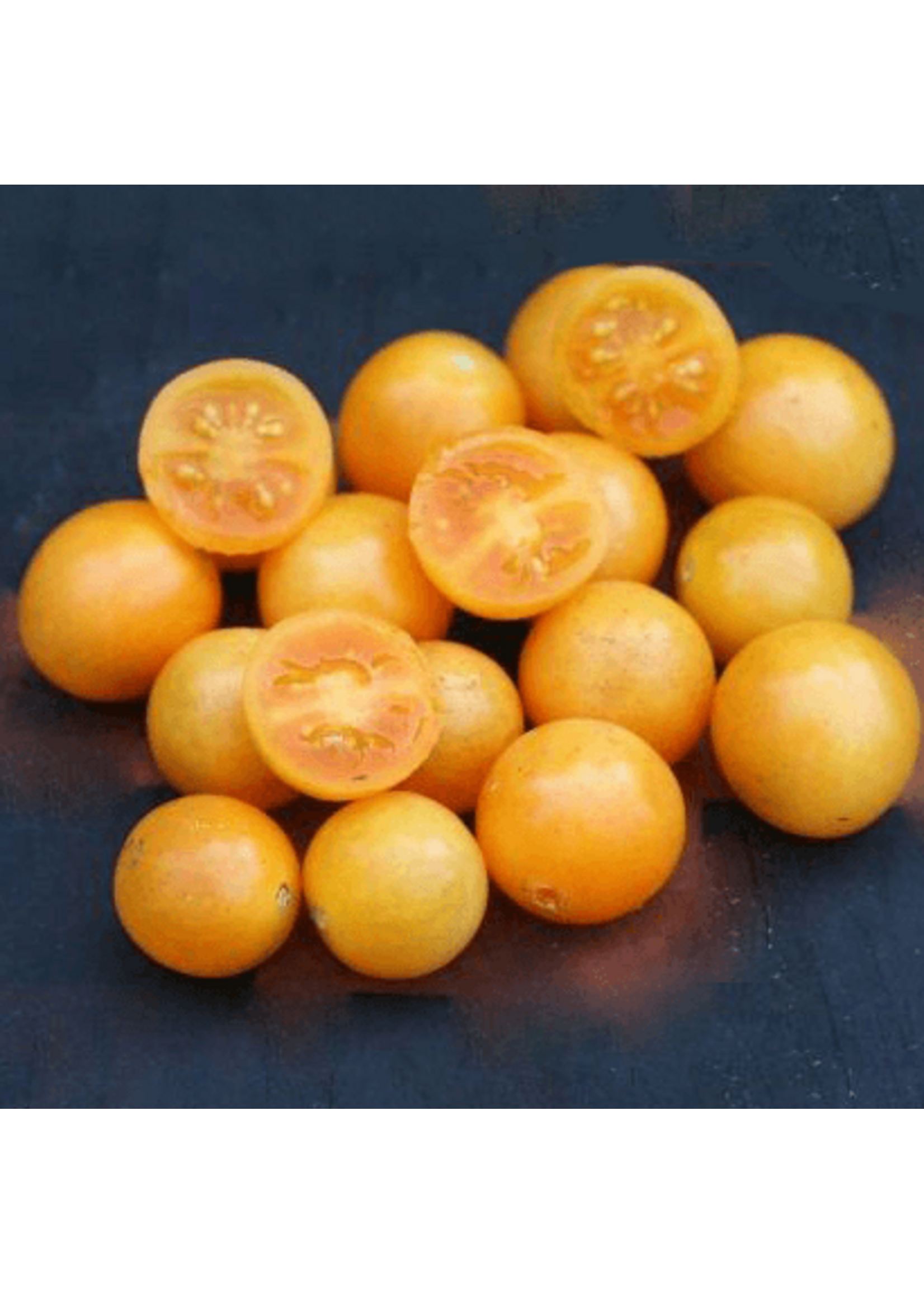 Quail Seeds Tomato - Honeydrop Cherry