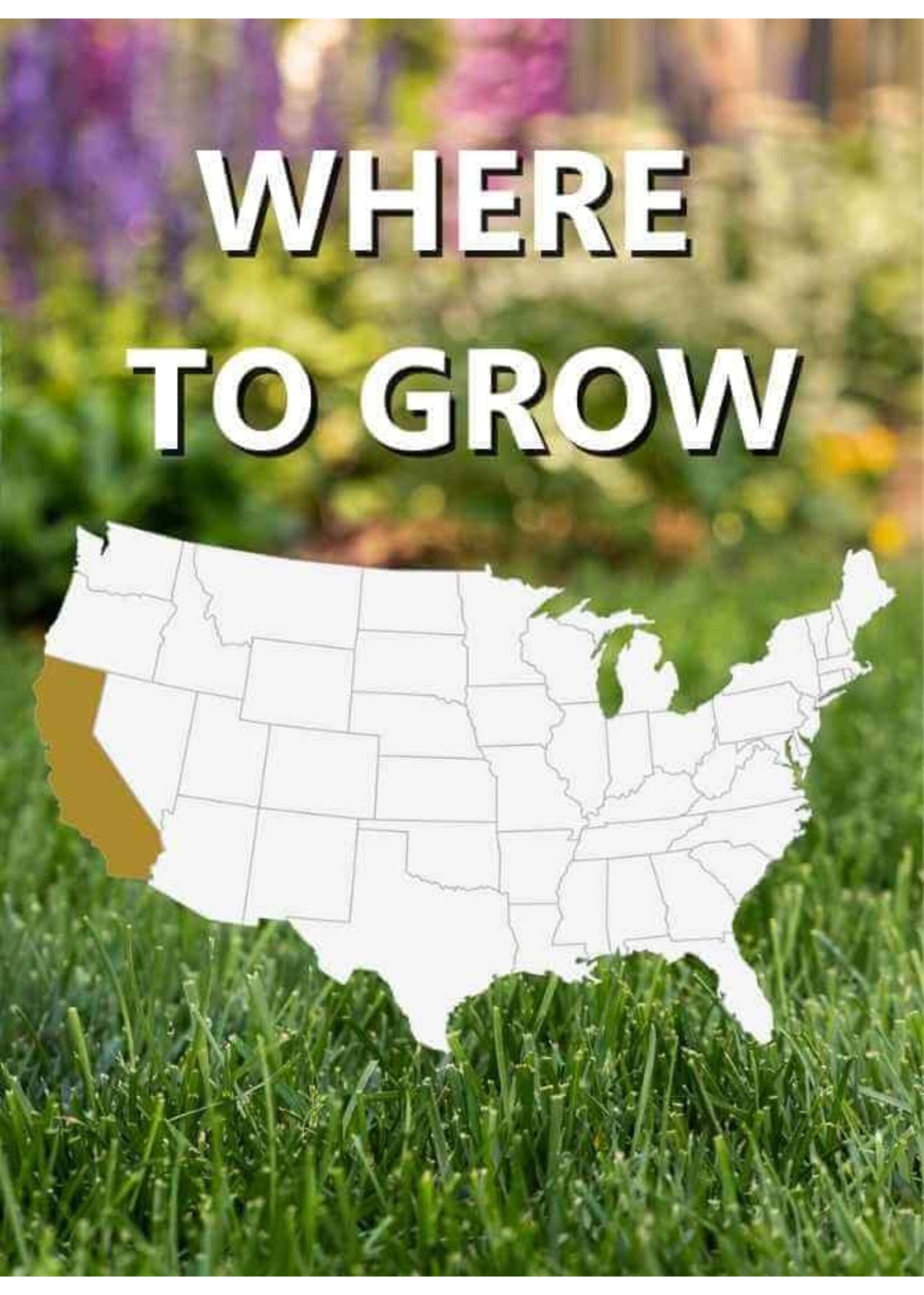 Jonathan Green Black Beauty Golden State  Premium Grass Seed