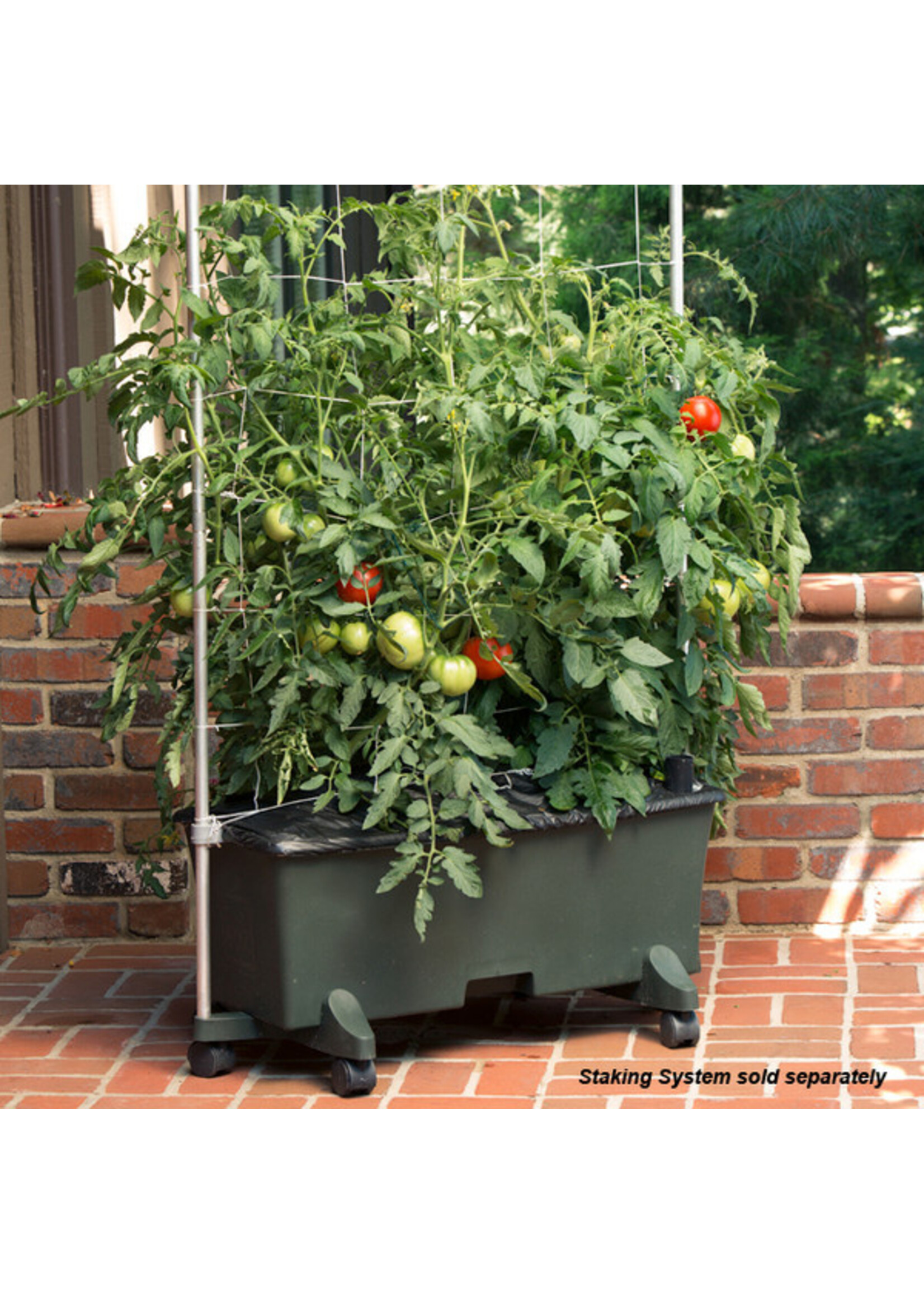 Earthbox Earthbox Original Self-Watering Planter Box Kit with Natural Fertilizer and Casters