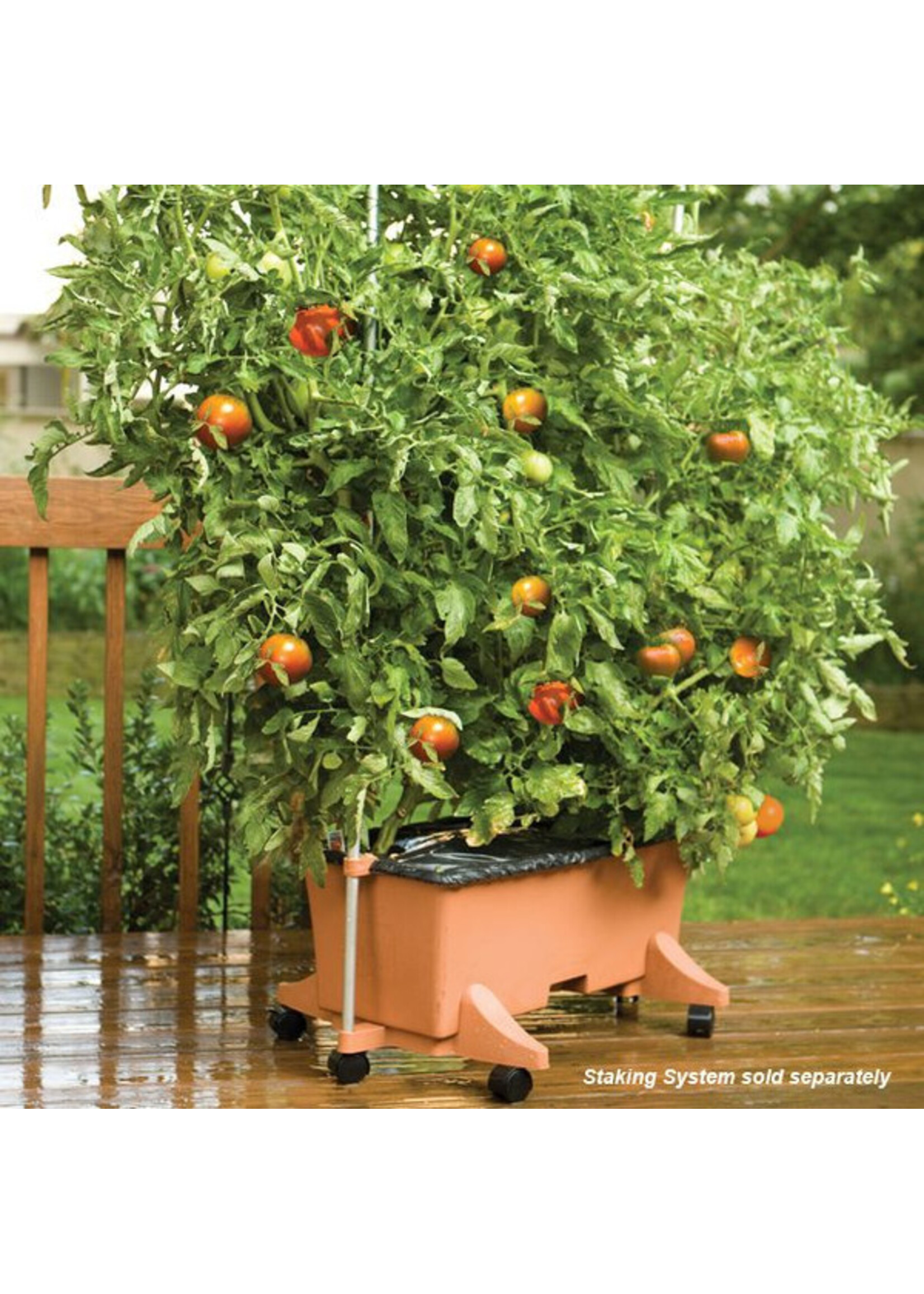 Earthbox Earthbox Original Self-Watering Planter Box Kit with Natural Fertilizer and Casters