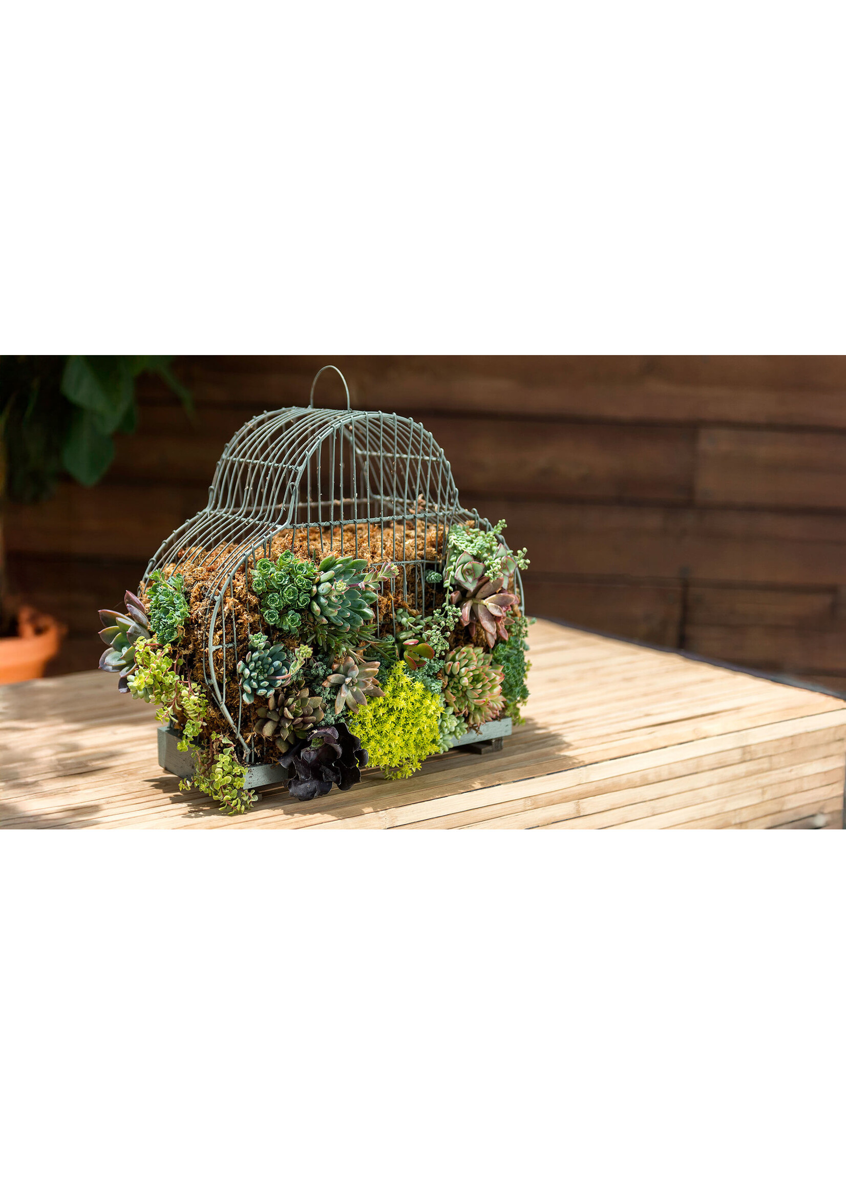 Supermoss SuperMoss Sphagnum Moss Mini Bale 1.1LBS