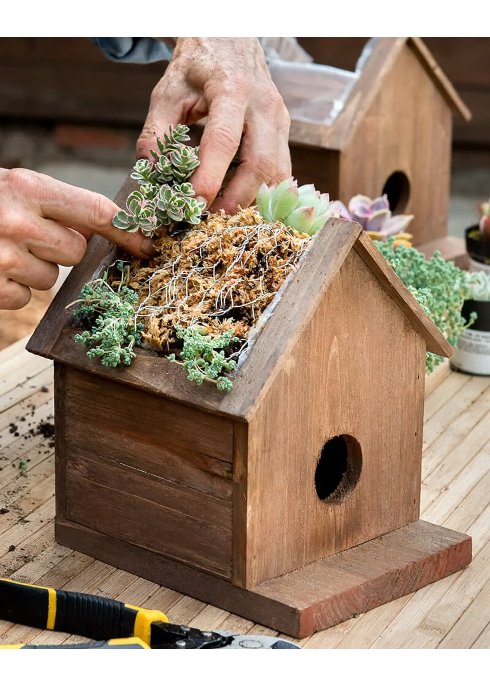 Supermoss SuperMoss Sphagnum Moss Mini Bale 1.1LBS