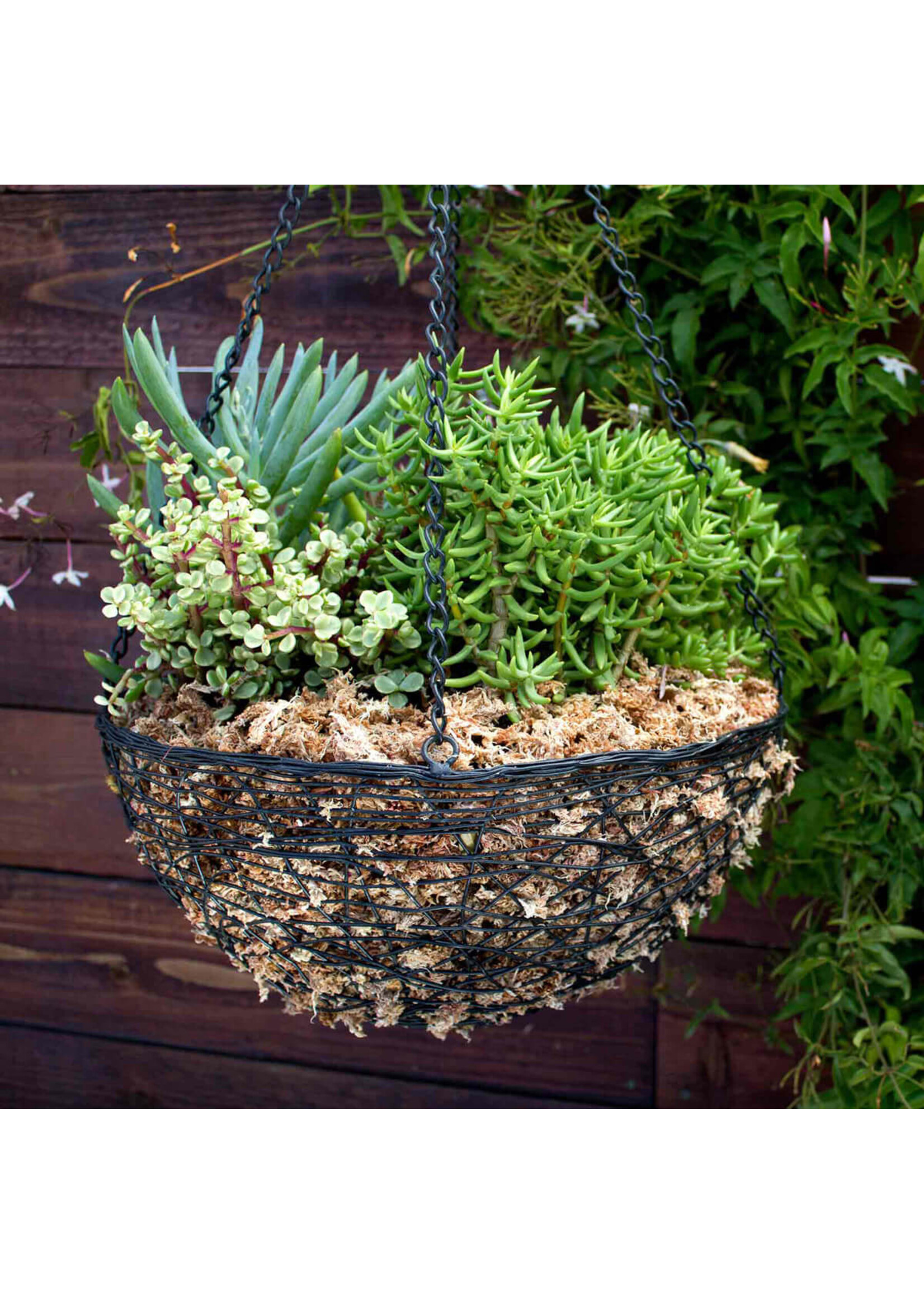 Supermoss SuperMoss Sphagnum Moss Mini Bale 1.1LBS