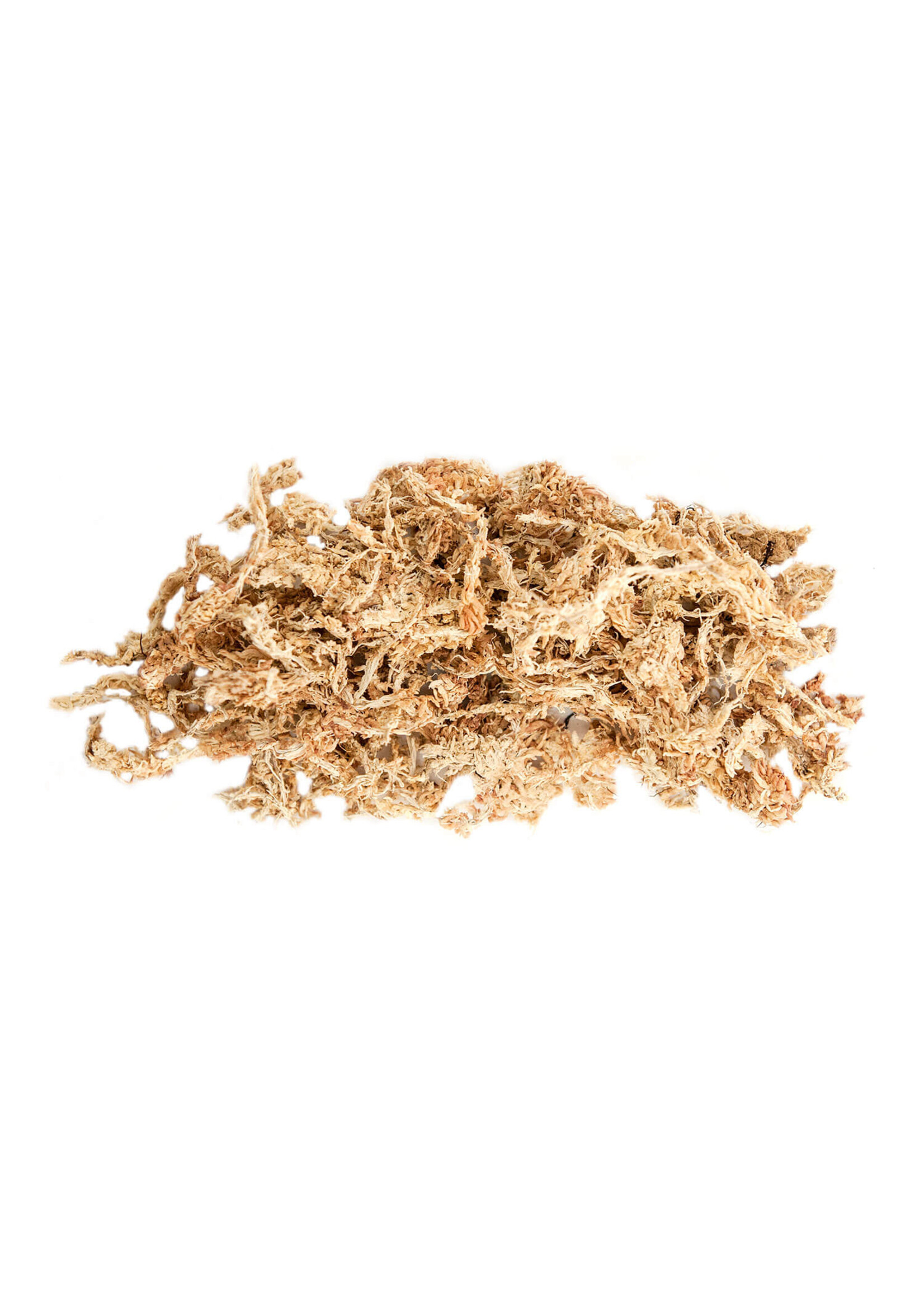 Supermoss SuperMoss Sphagnum Moss Mini Bale 1.1LBS