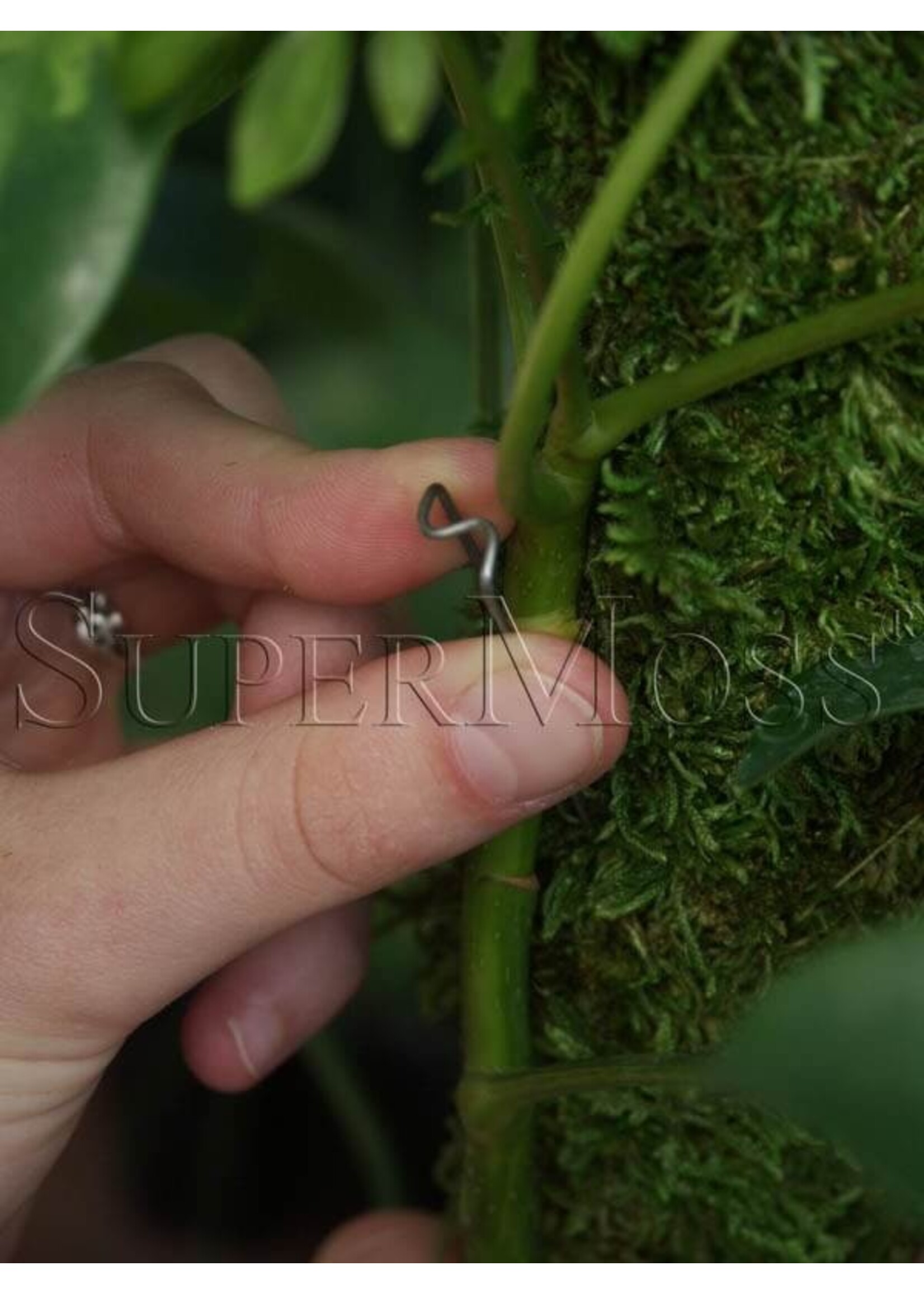 Supermoss SuperMoss Moss Poles