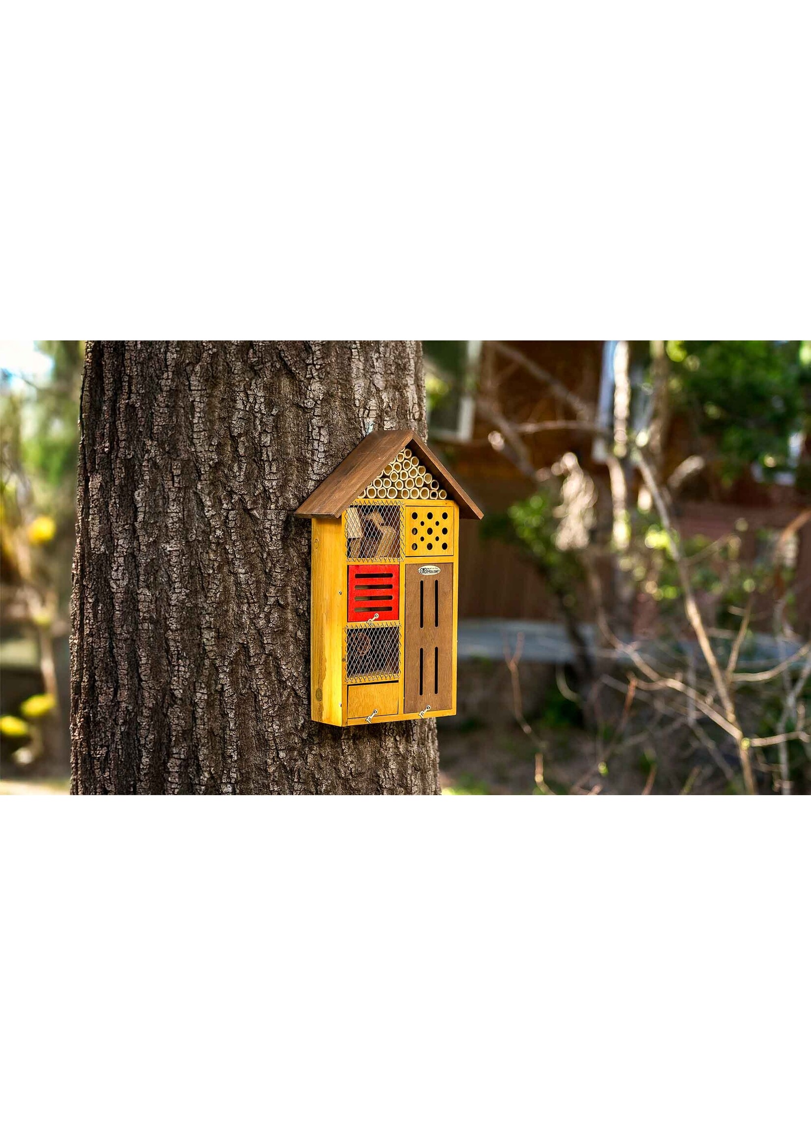 Supermoss Beneficial Bug House - Clover - Honey Stain