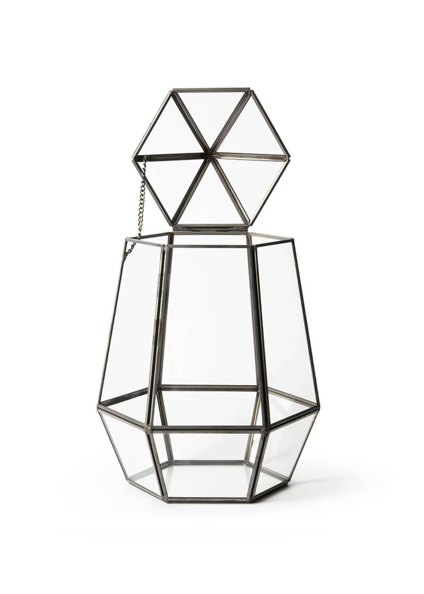 Supermoss SuperMoss Glass Terrariums