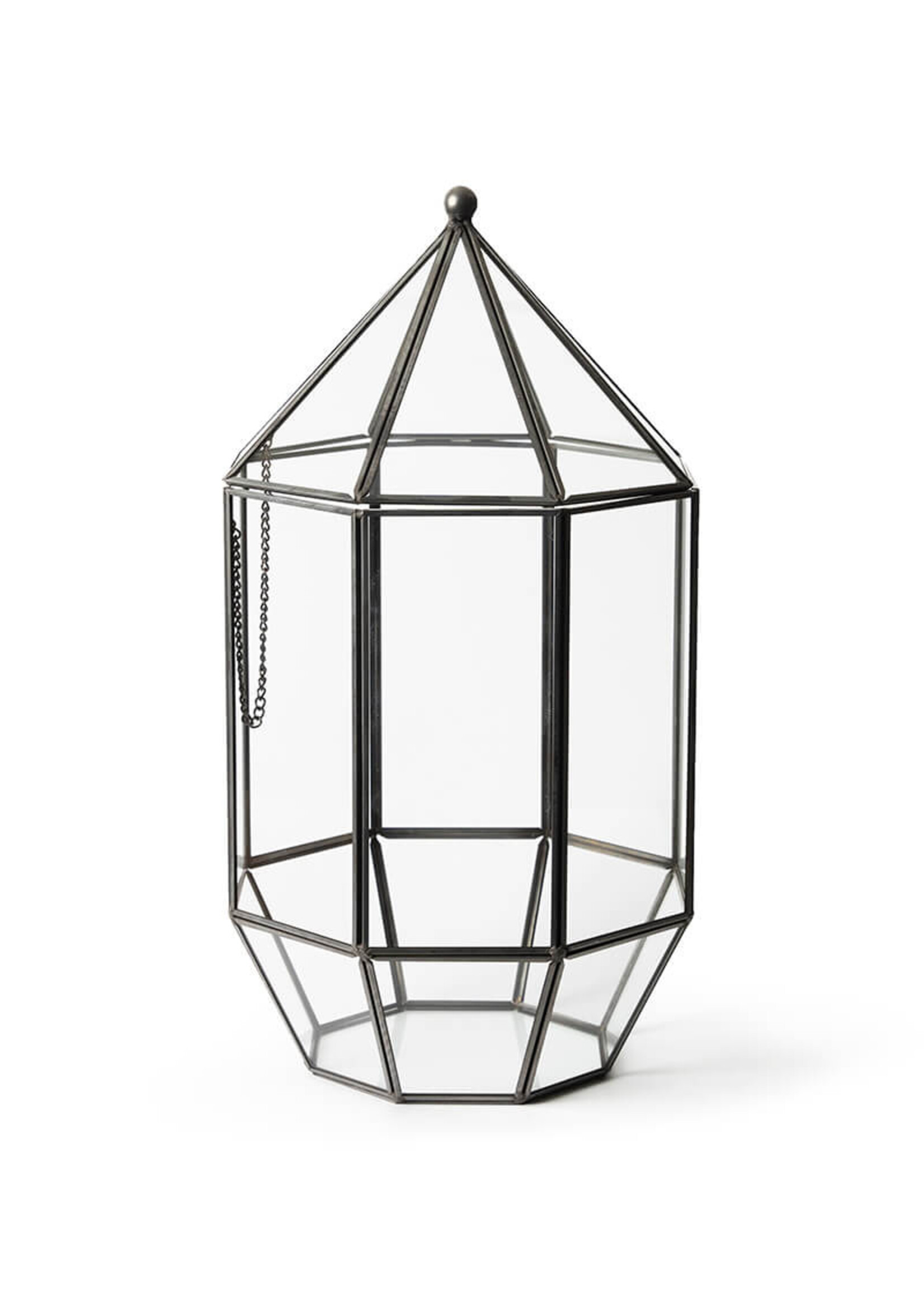 Supermoss SuperMoss Glass Terrariums