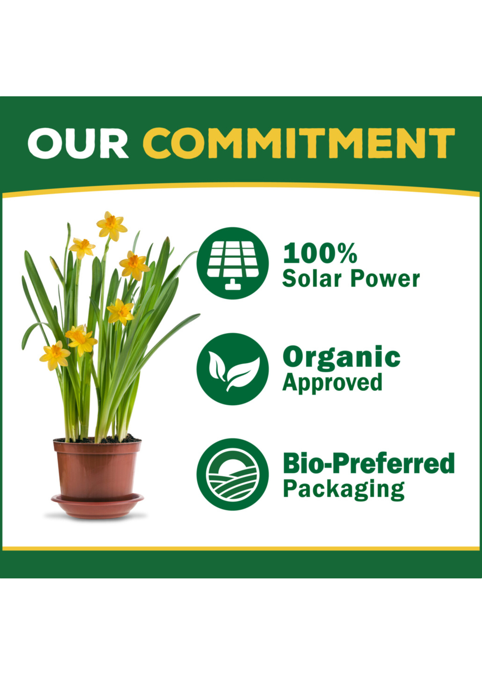 Espoma Espoma Rose-Tone Rose & Flower Food