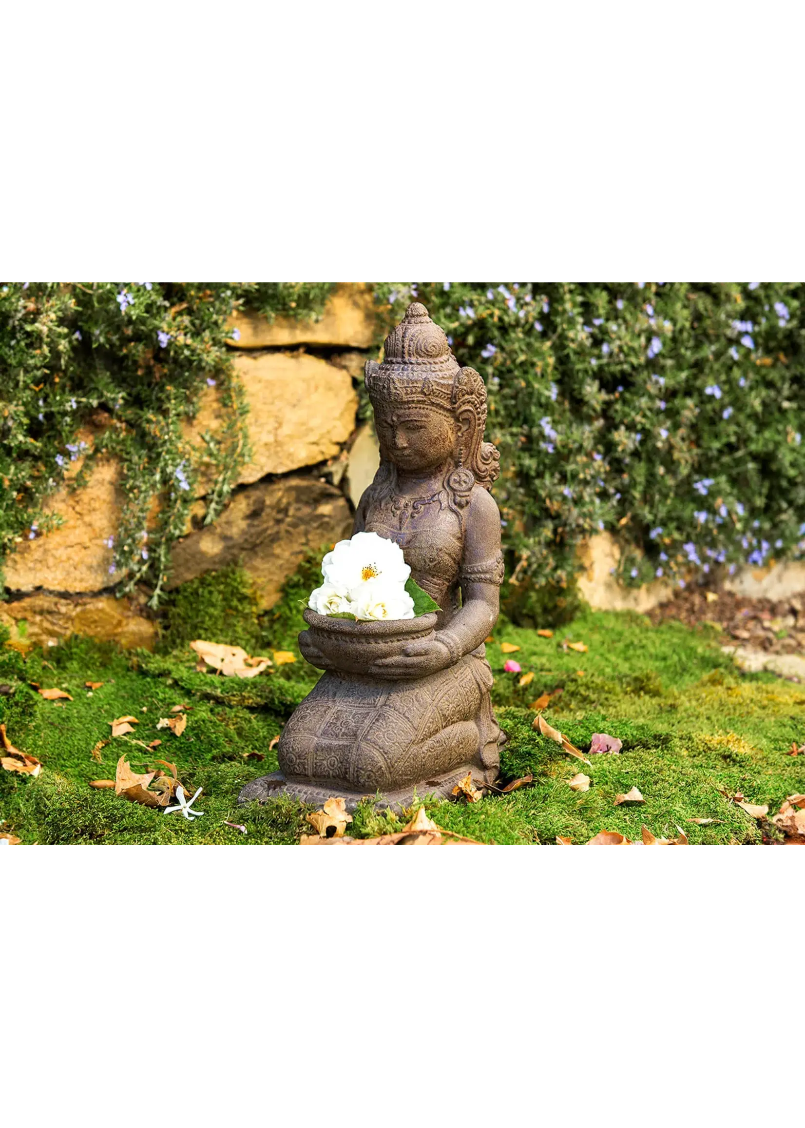 Supermoss SuperMoss Preserved Sheet Moss