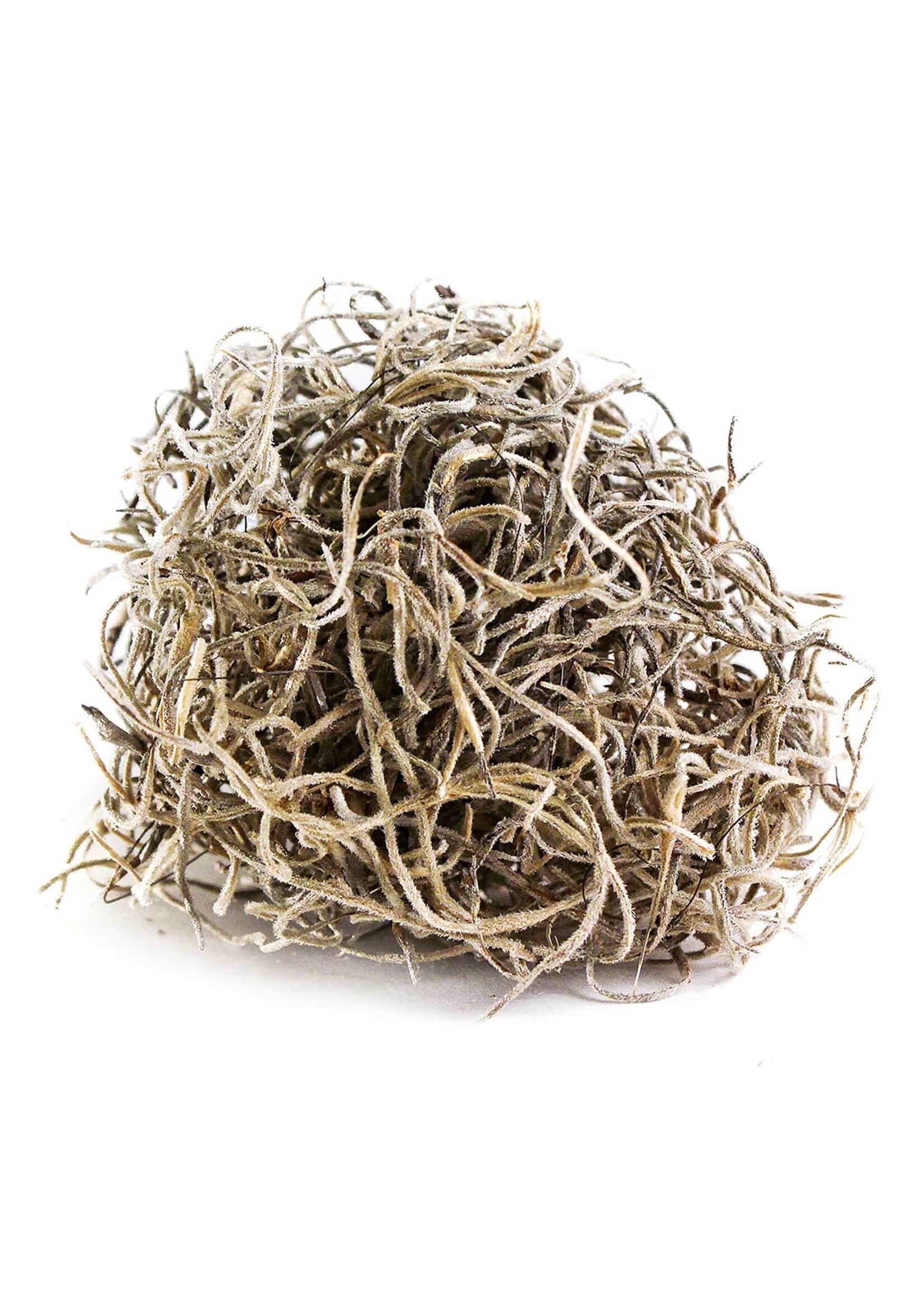Supermoss Supermoss Spanish Moss - Natural - 325 cu. in.
