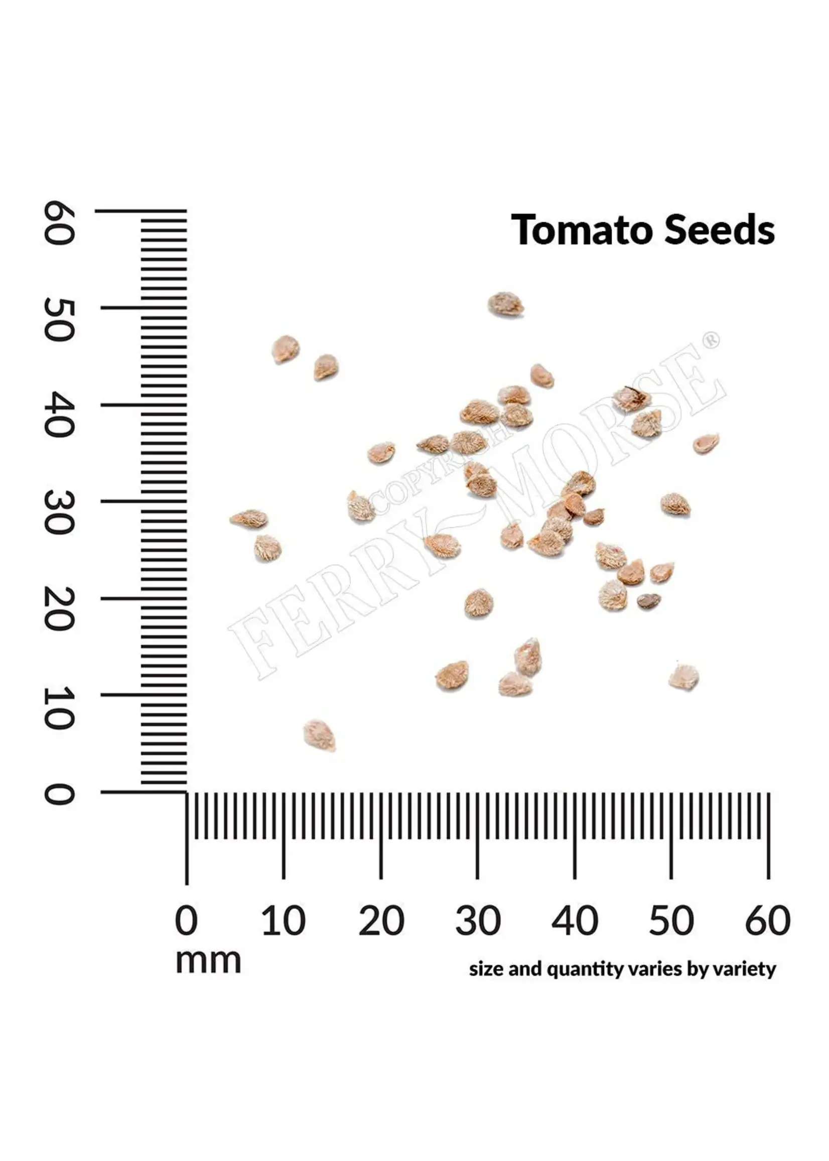 Ferry Morse Tomato - Beefsteak Organic