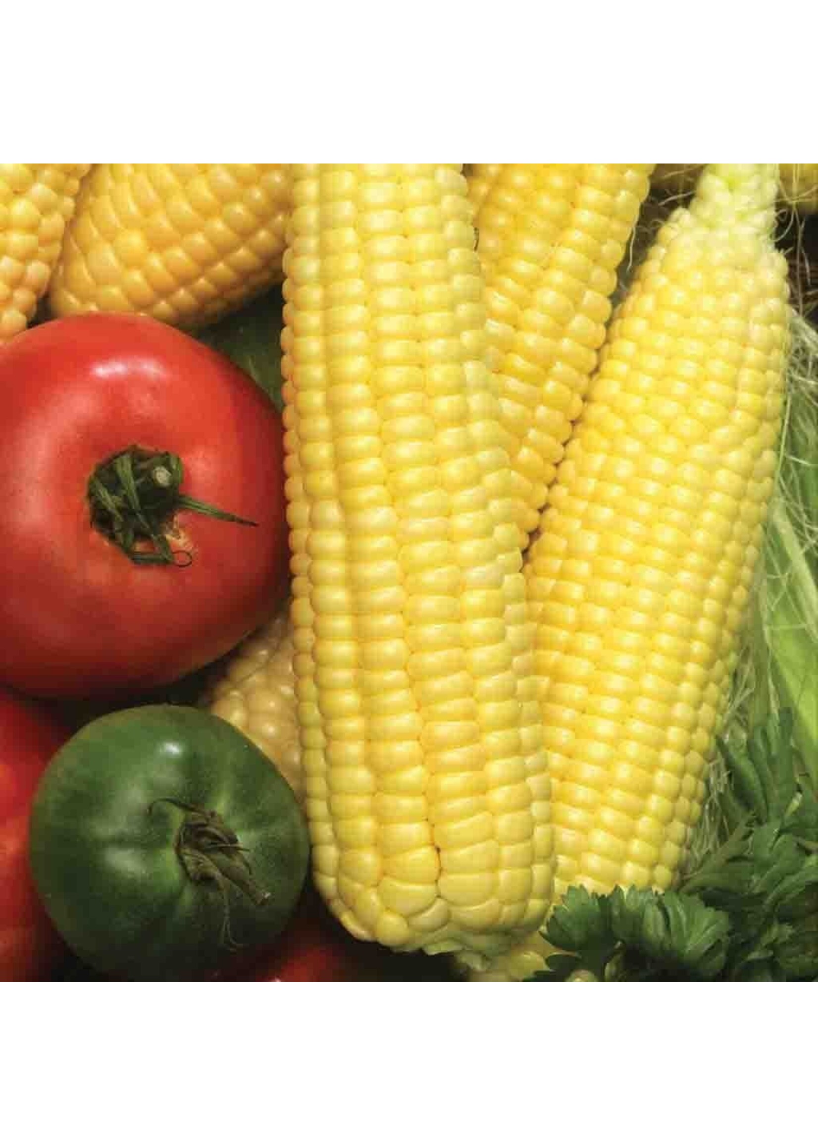 Ferry Morse Sweet Corn - Early Golden Bantam