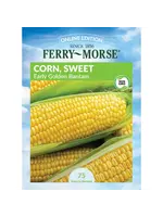 Ferry Morse Squash - Early Prolific Straightneck Organic