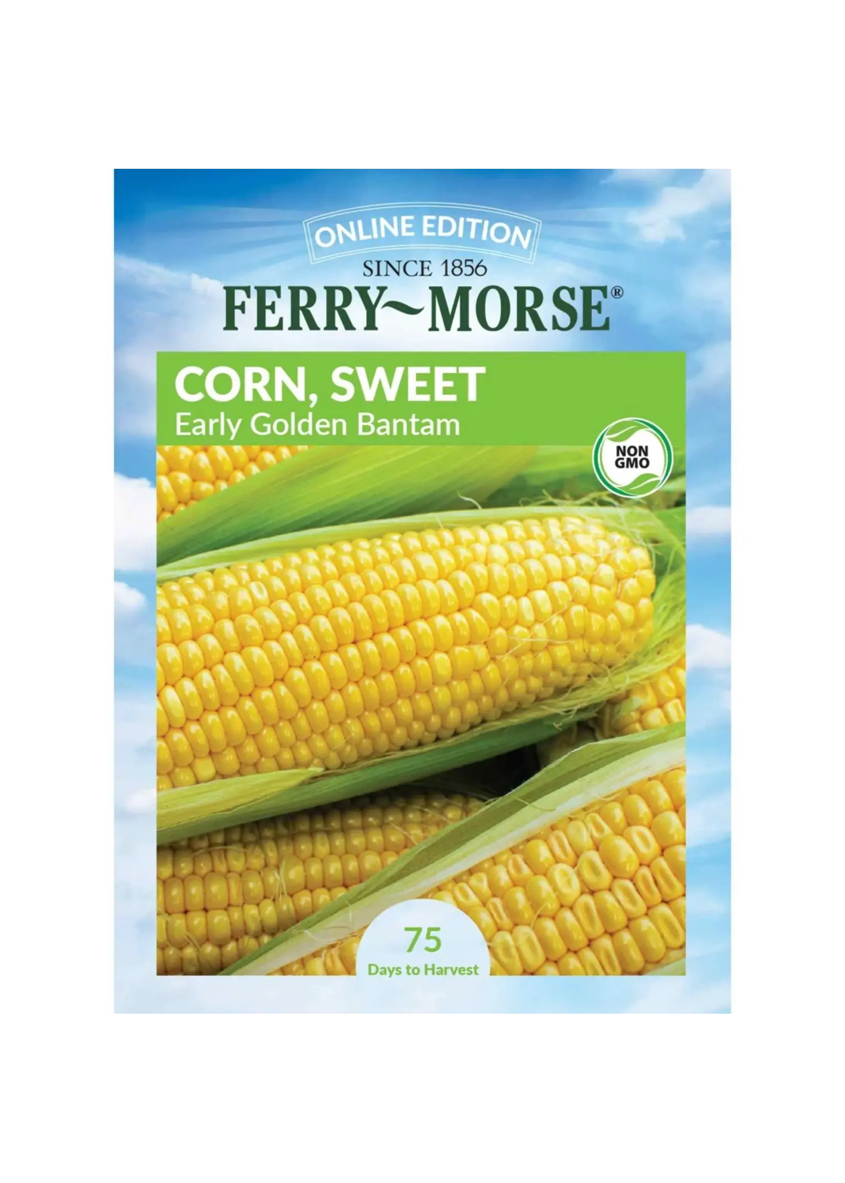 Ferry Morse Squash - Early Prolific Straightneck Organic