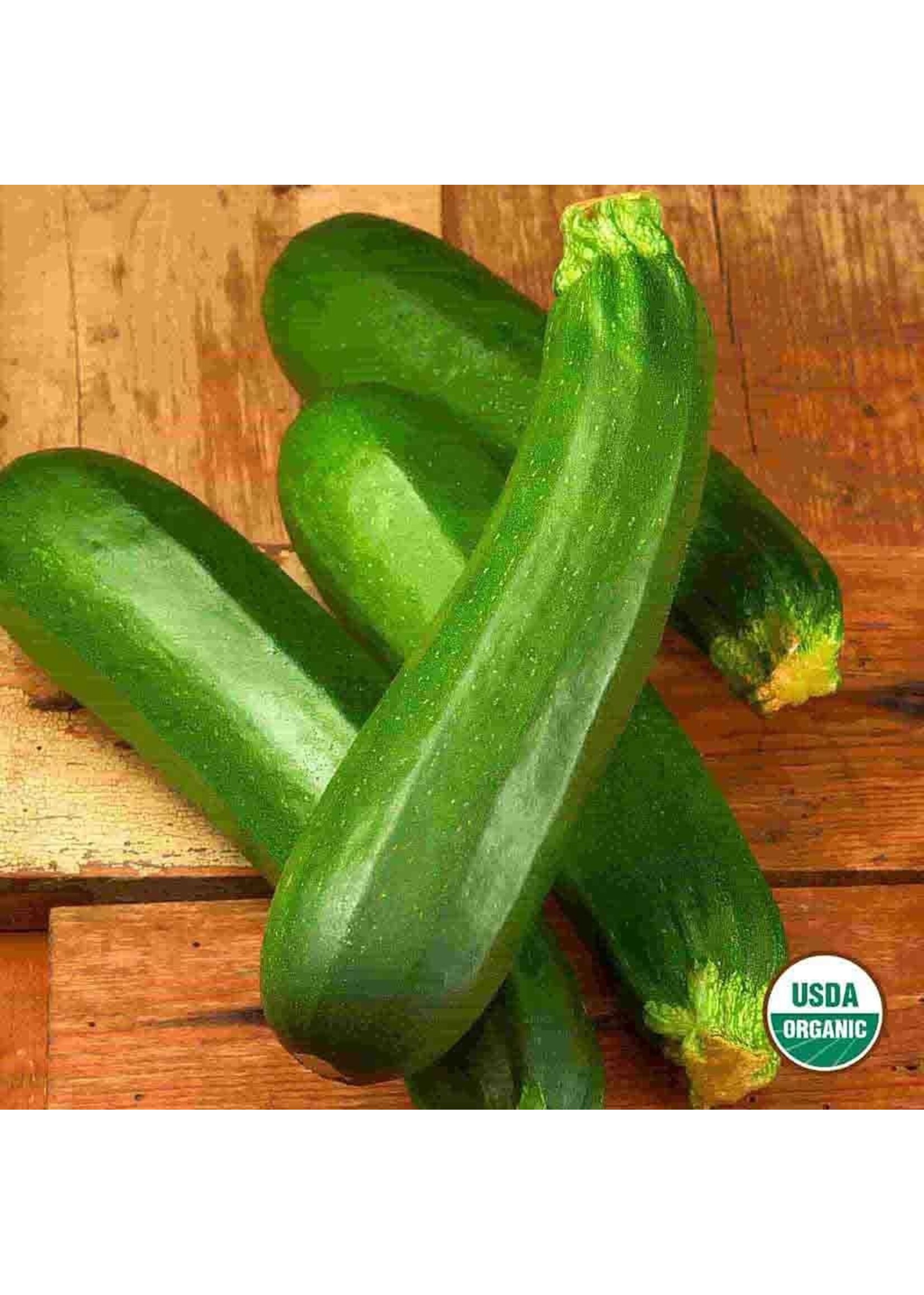 Ferry Morse Squash - Dark Green Zucchini Organic