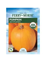 Ferry Morse Pumpkin - Jack O'Lantern Organic
