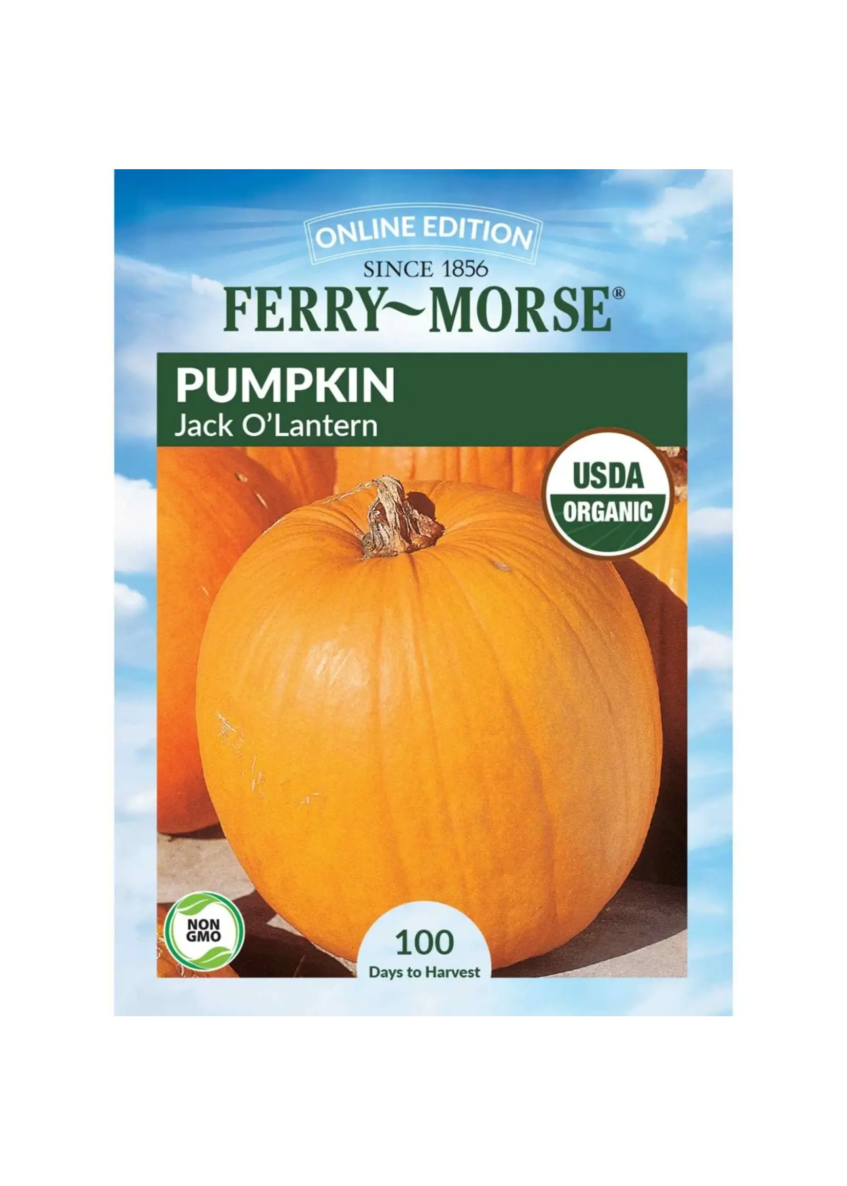 Ferry Morse Pumpkin - Jack O'Lantern Organic