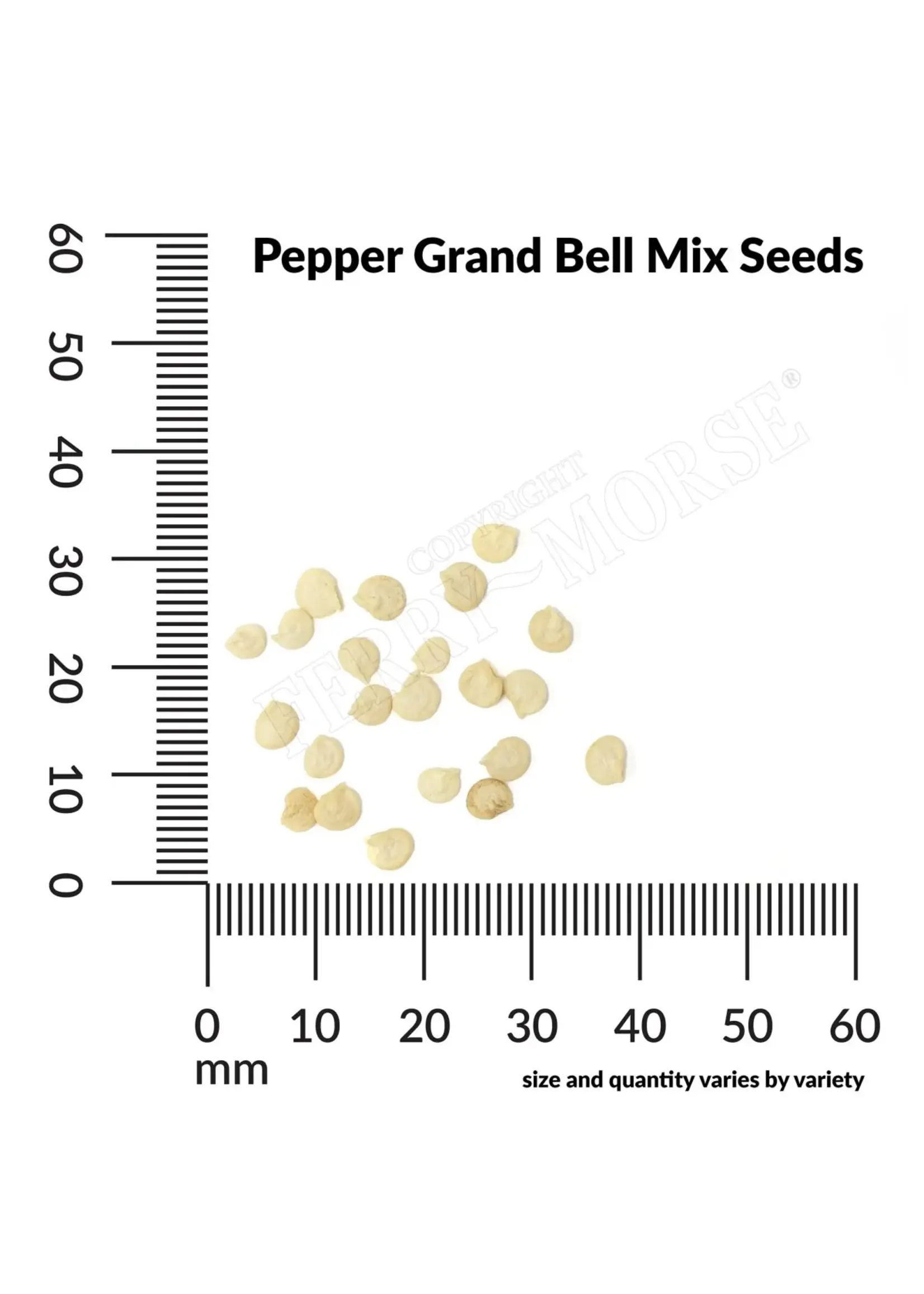 Ferry Morse Pepper - Grand Bell Mix Organic