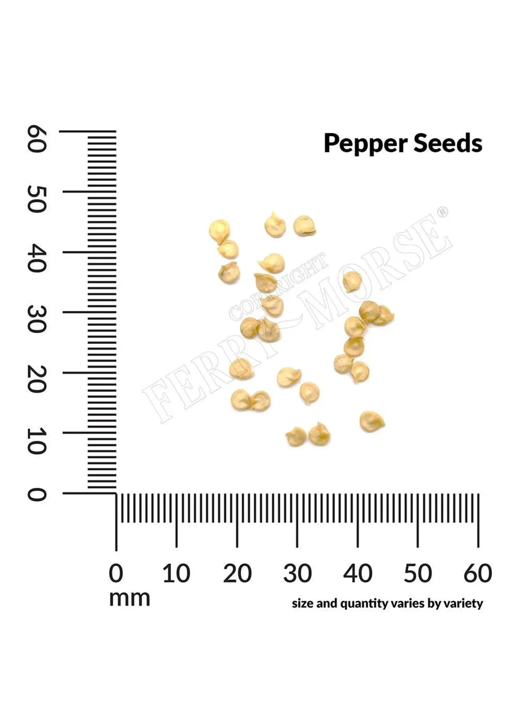 Ferry Morse Pepper - California Wonder Organic