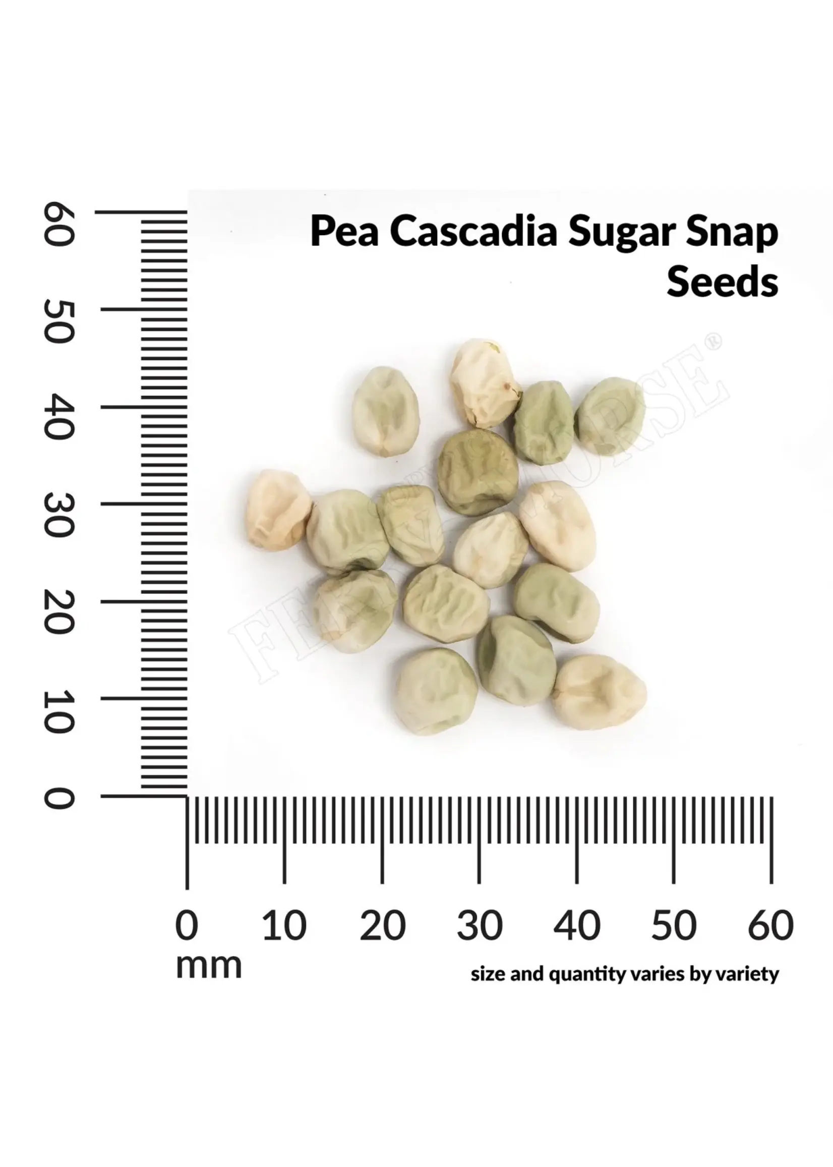 Ferry Morse Pea - Sugar Snap Organic