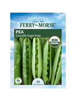 Ferry Morse Pea - Sugar Snap Organic