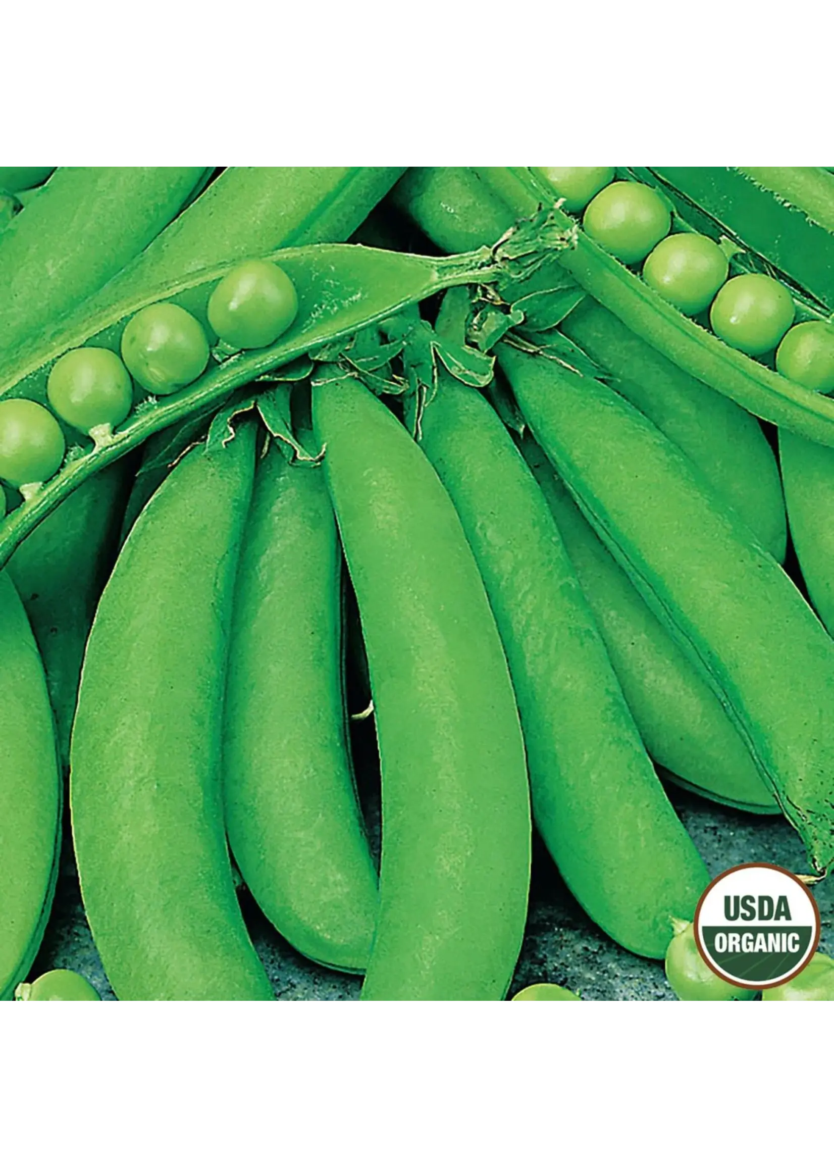 Ferry Morse Pea - Sugar Snap Organic