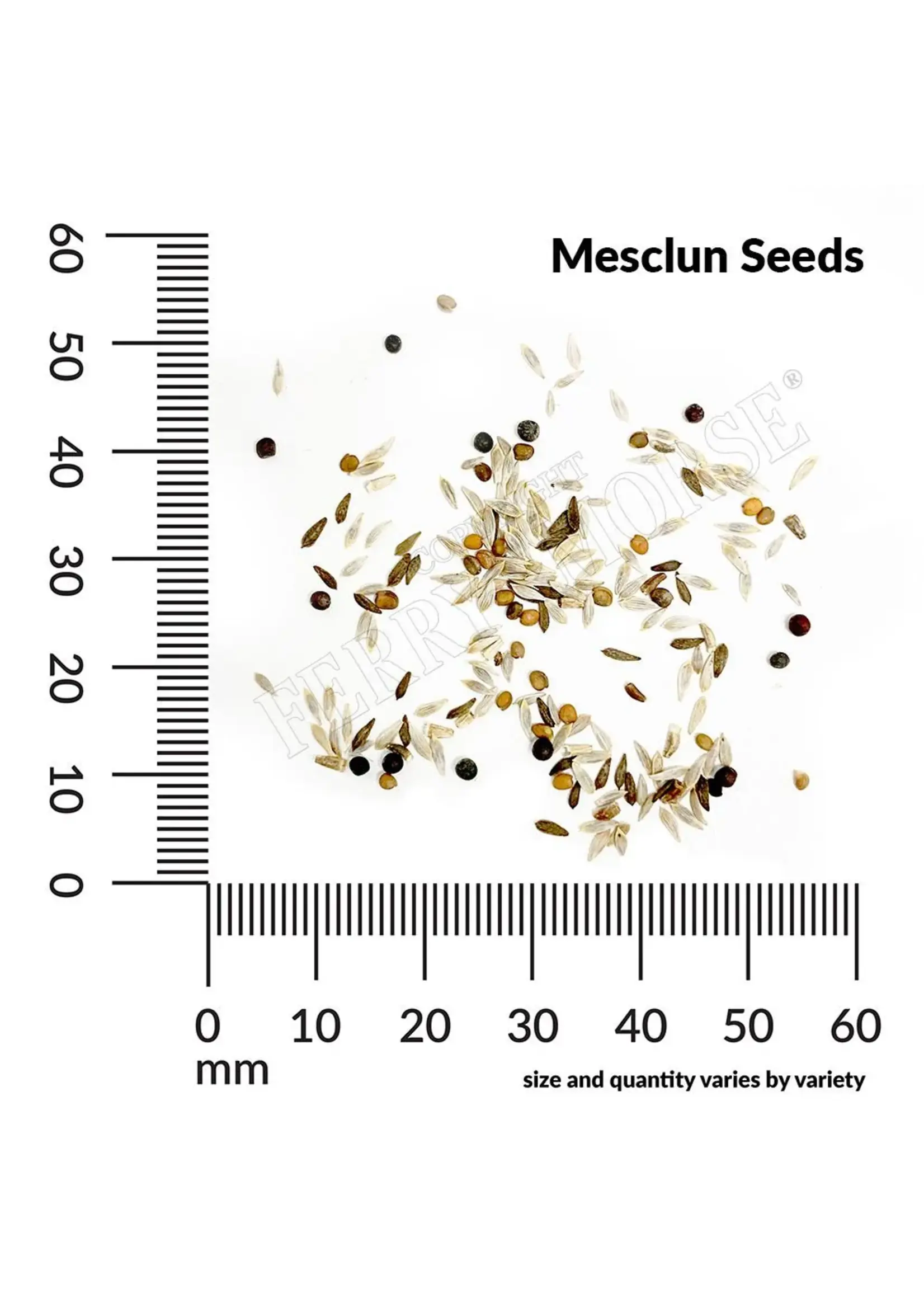 Ferry Morse Mesclun - Gourmet Greens Mixture Organic
