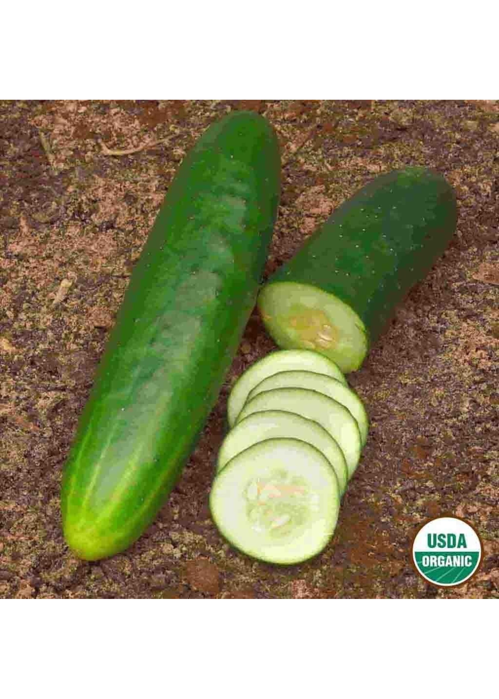Ferry Morse Cucumber - Straight Eight Organic