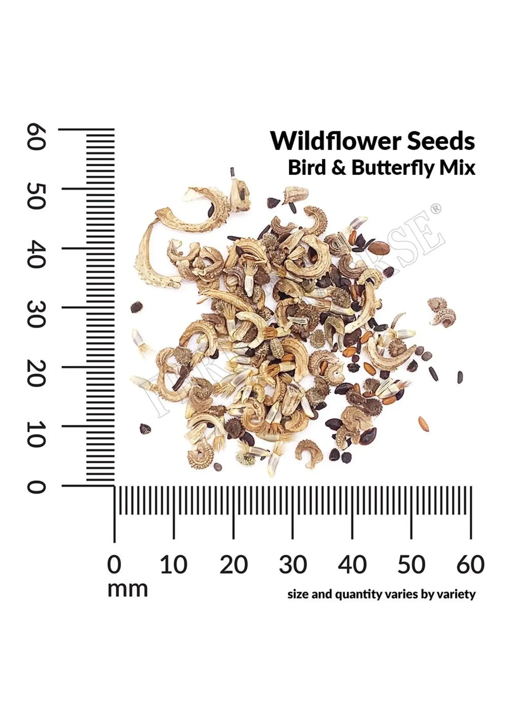 Ferry Morse Bird and Butterfly Mix
