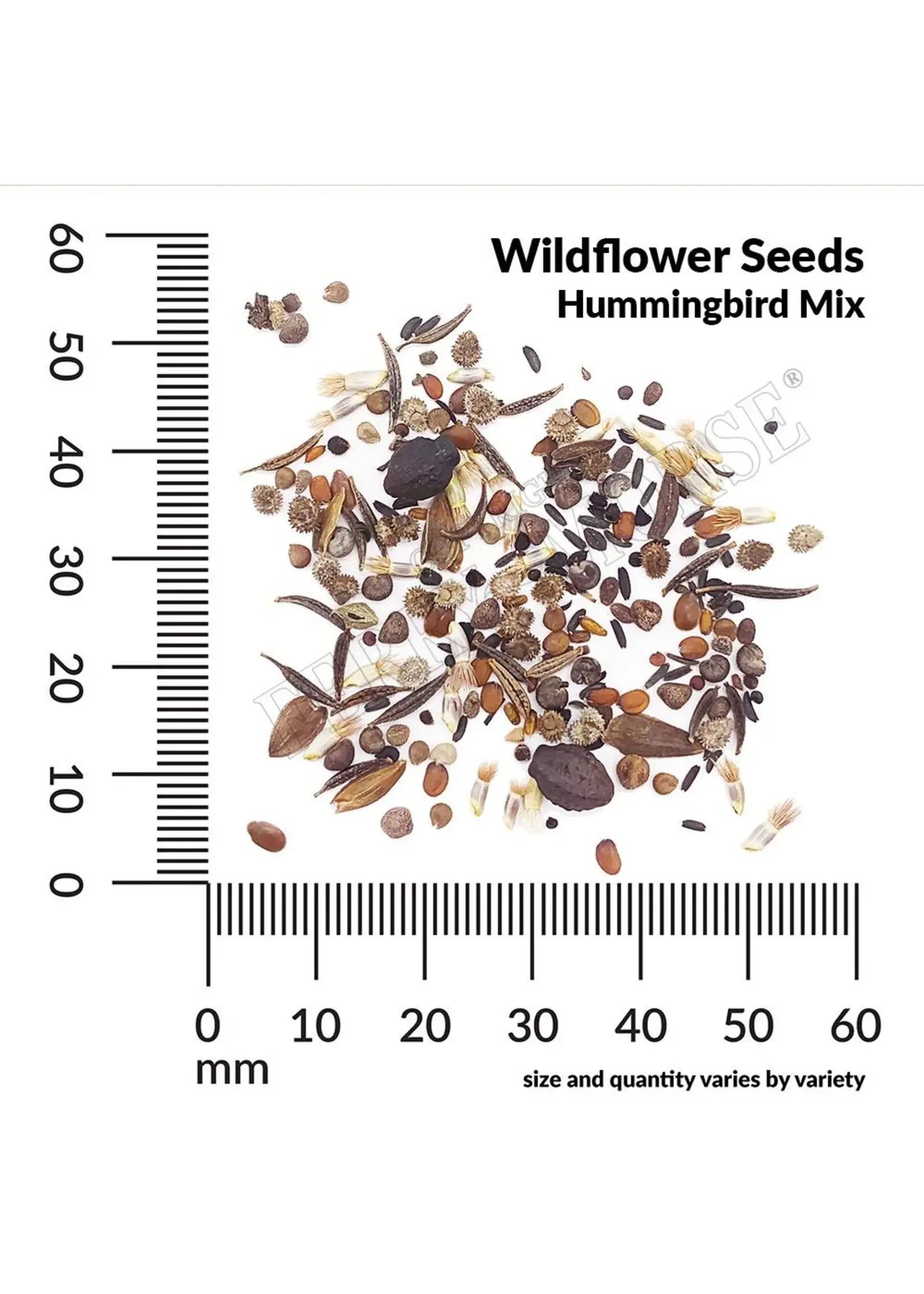 Ferry Morse Hummingbird Mix
