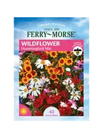 Ferry Morse Hummingbird Mix