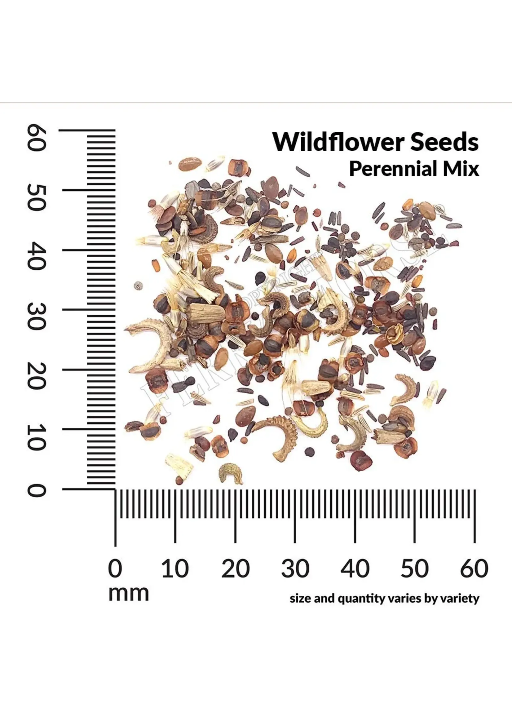 Ferry Morse Perennial Mix