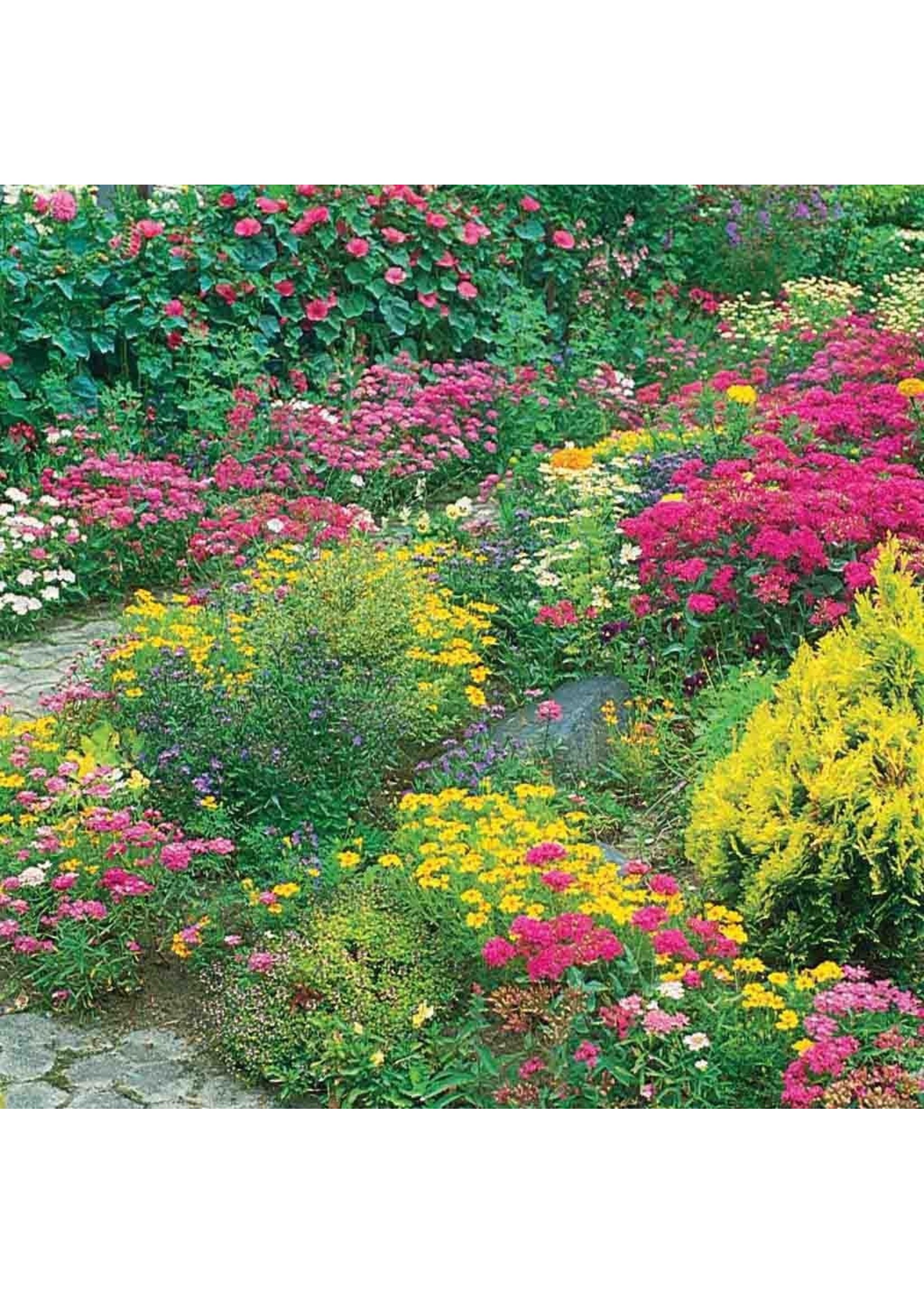 Ferry Morse Perennial Mix