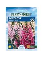 Ferry Morse Foxglove - MC