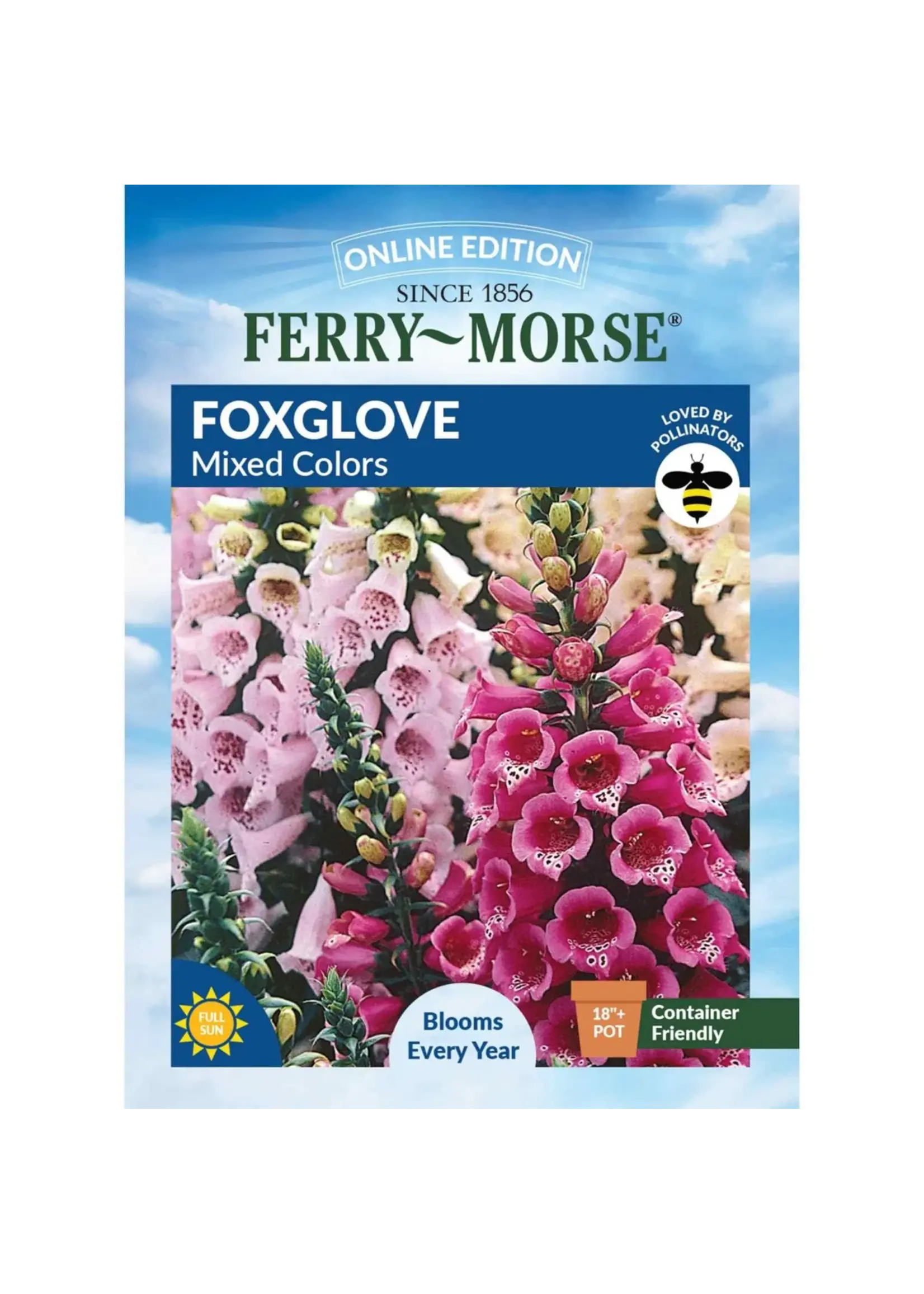 Ferry Morse Foxglove - MC