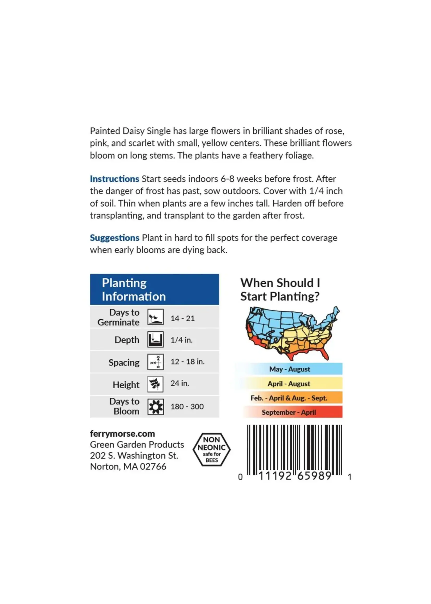 Ferry Morse Painted Daisy - Single Mixed Colors