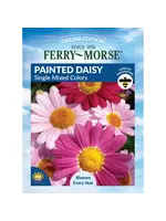 Ferry Morse Painted Daisy - Single Mixed Colors