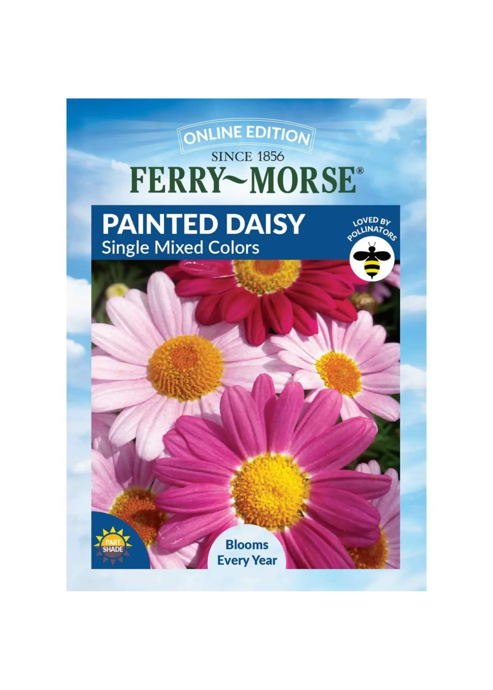 Ferry Morse Painted Daisy - Single Mixed Colors