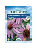 Ferry Morse Purple Coneflower - Echinacea