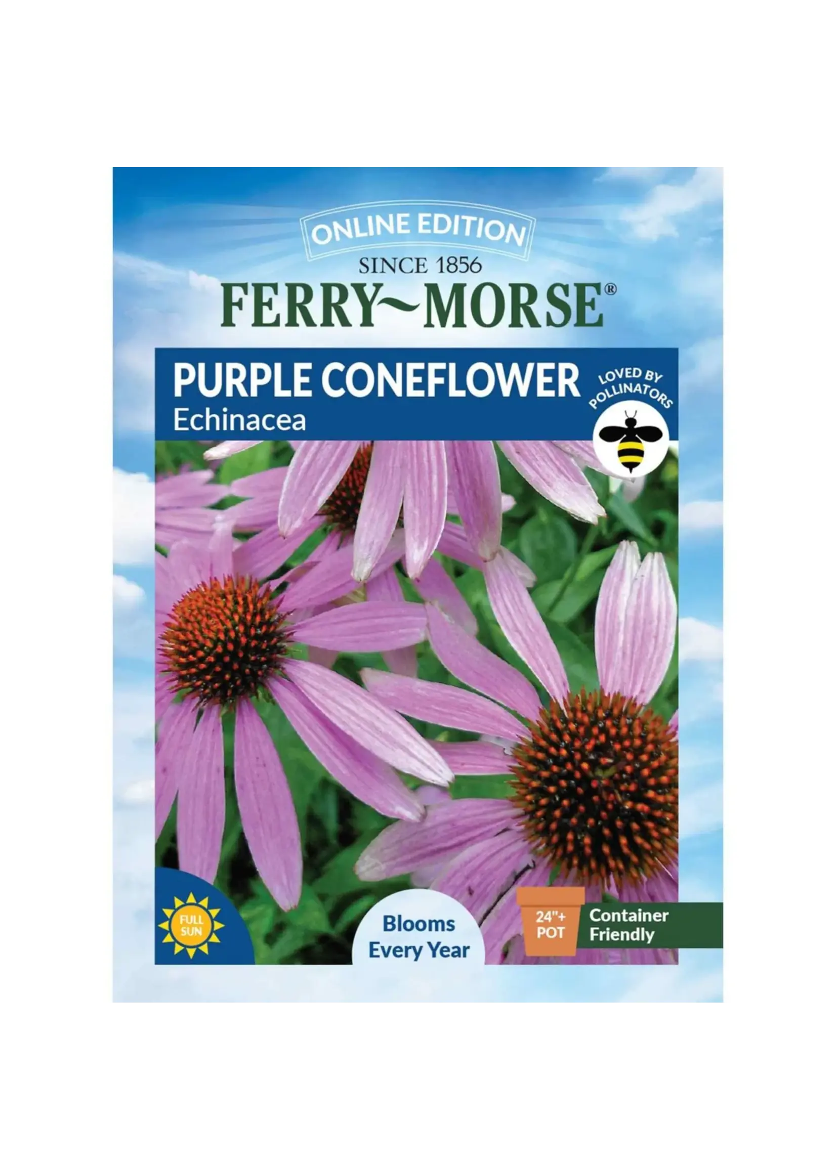 Ferry Morse Purple Coneflower - Echinacea