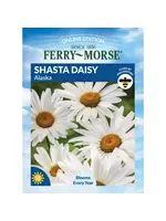 Ferry Morse Shasta Daisy - Alaska