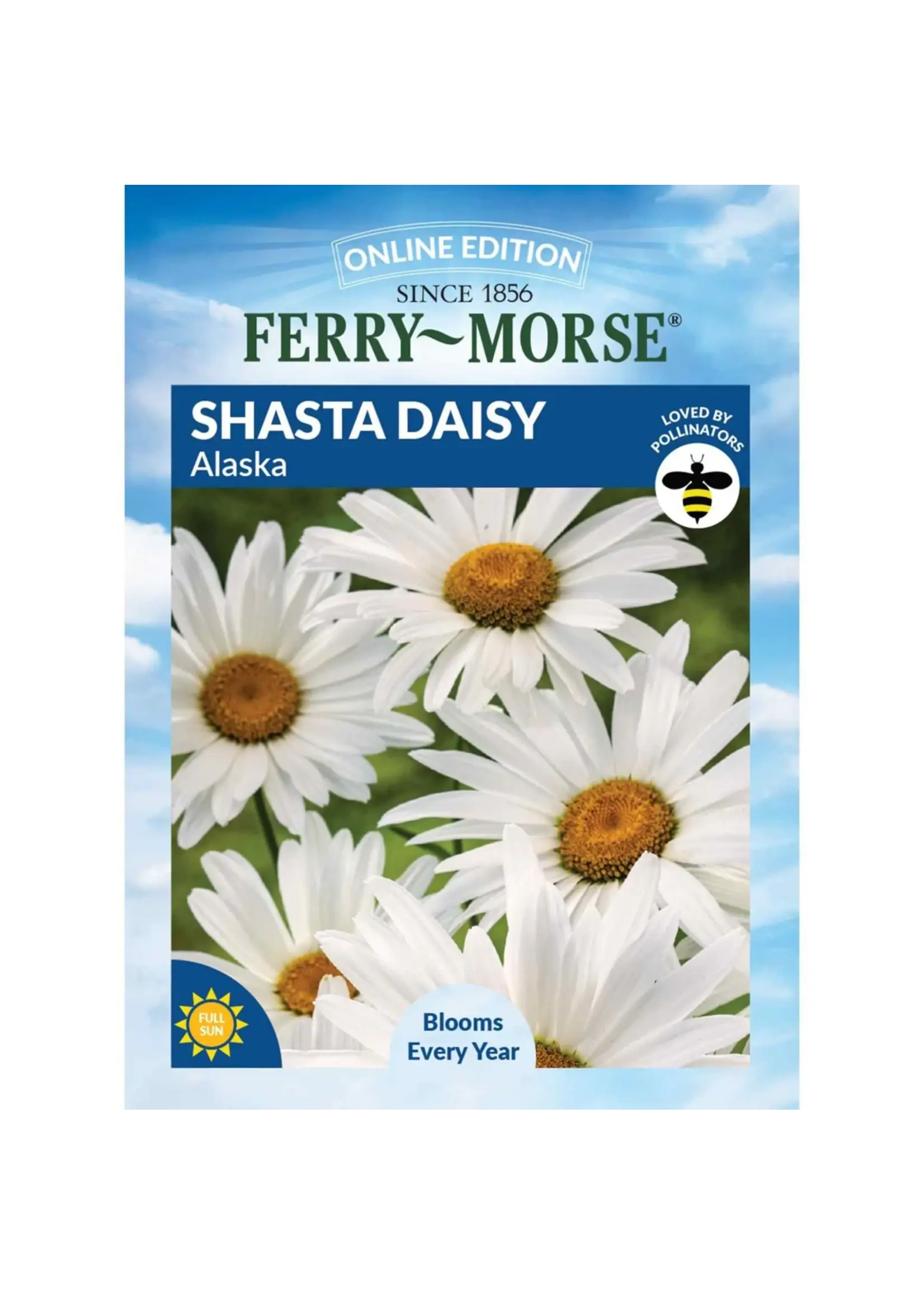 Ferry Morse Shasta Daisy - Alaska