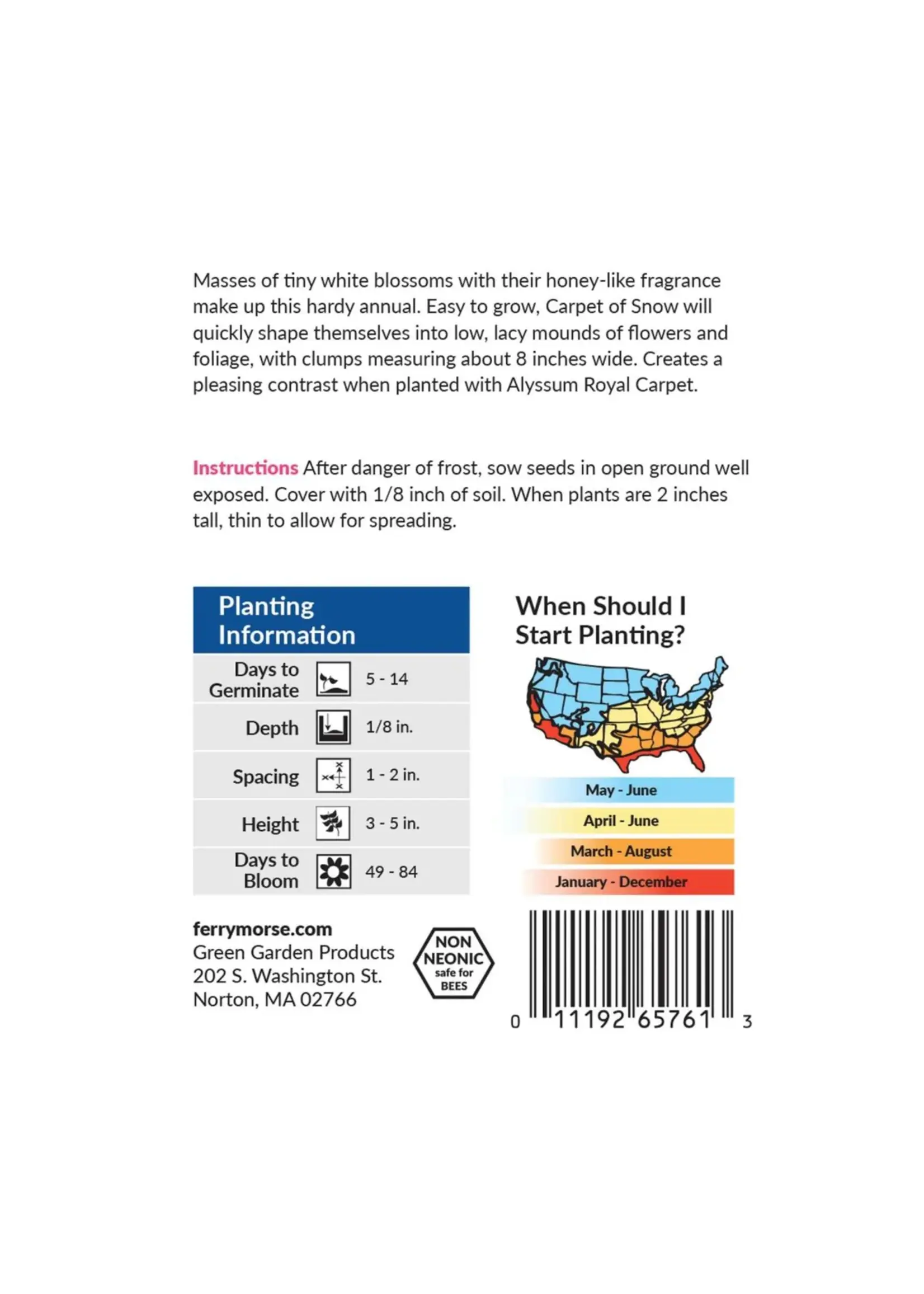 Ferry Morse Alyssum - Carpet of Snow