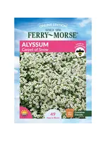 Ferry Morse Alyssum - Carpet of Snow