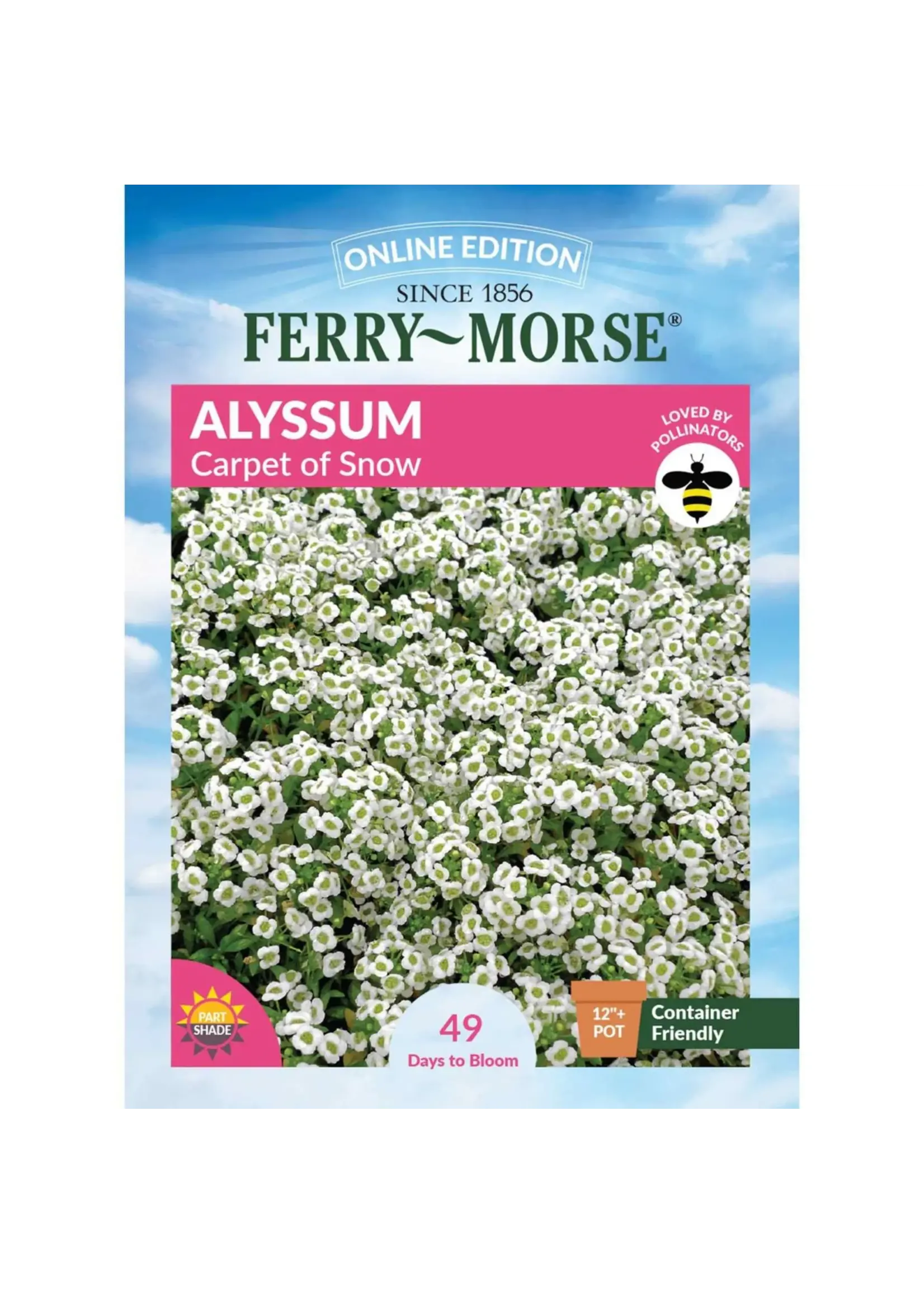 Ferry Morse Alyssum - Carpet of Snow