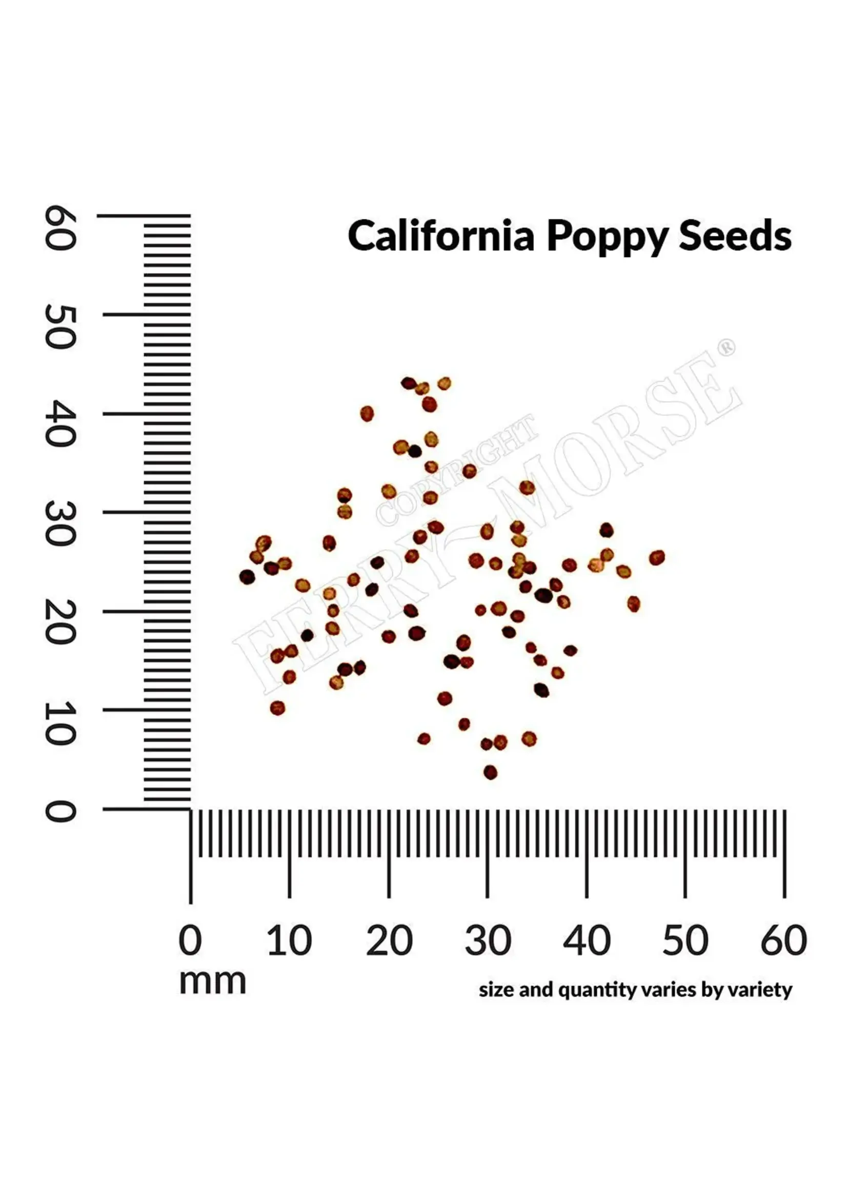 Ferry Morse California Poppy - Extra Golden