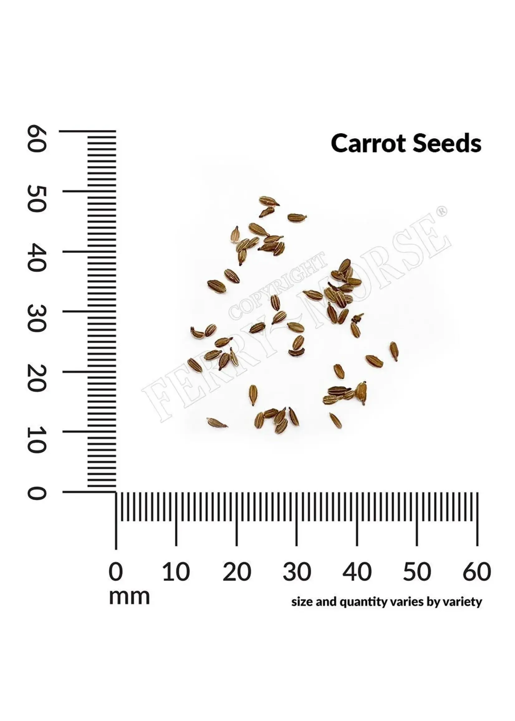 Ferry Morse Carrot - Long Imperator Organic