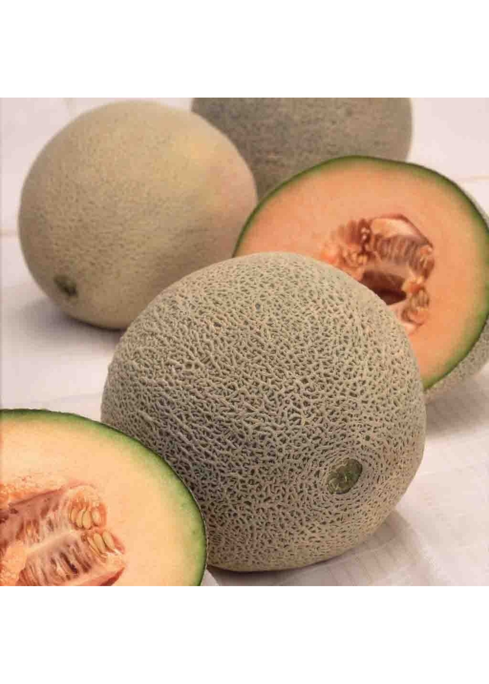 Ferry Morse Cantaloupe - Hales Best Organic